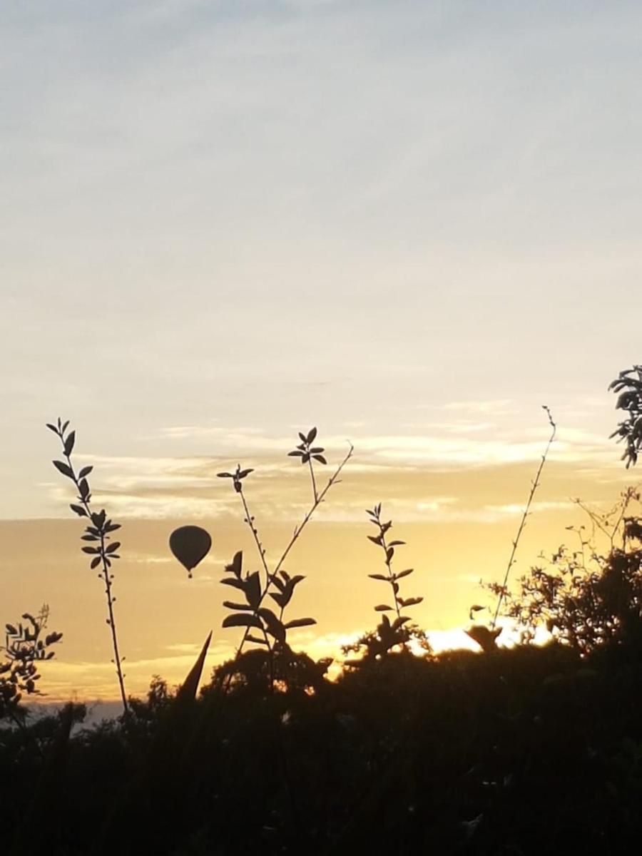Holiday Home photo 3