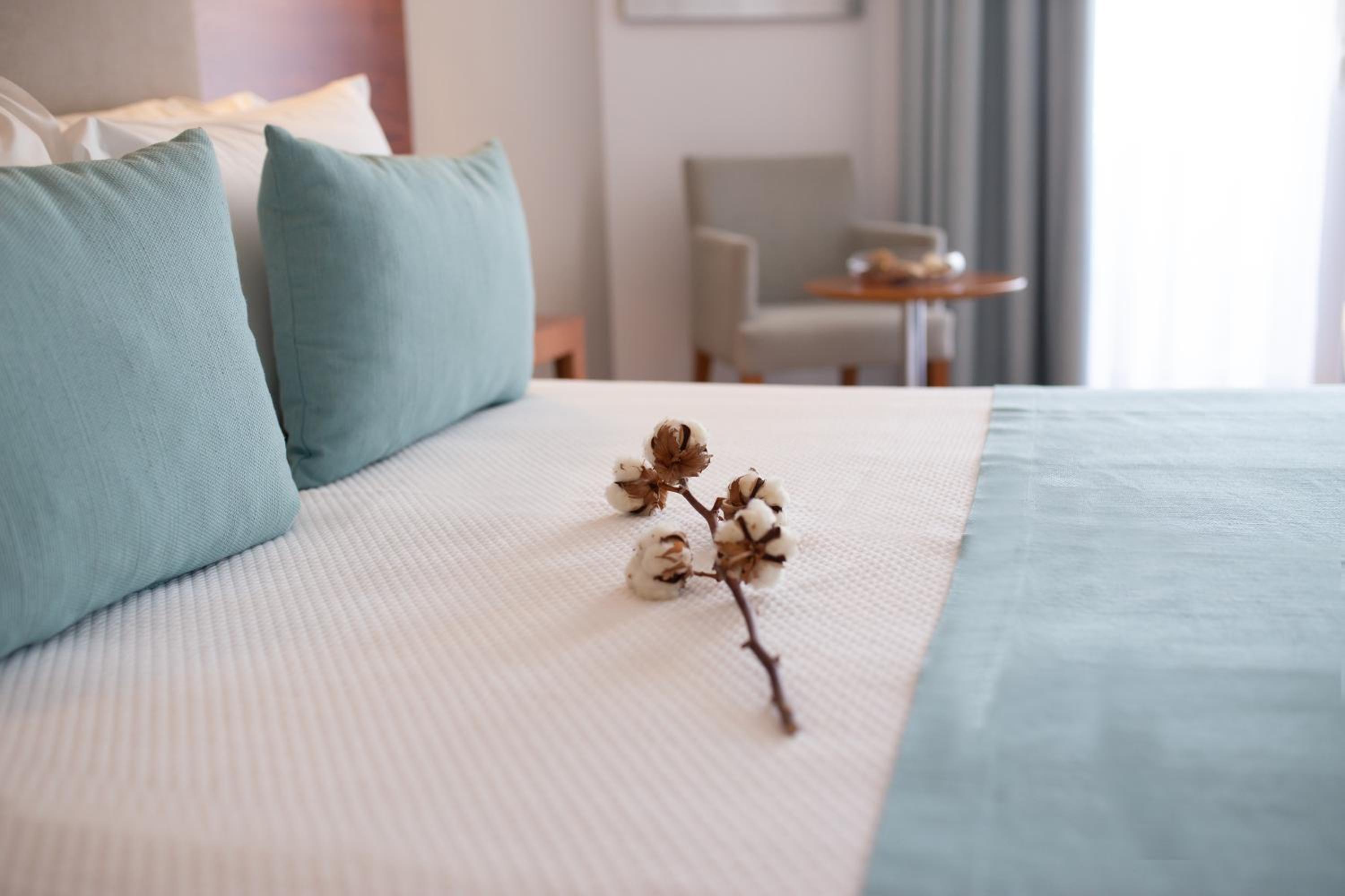 Double or Twin Room photo 1