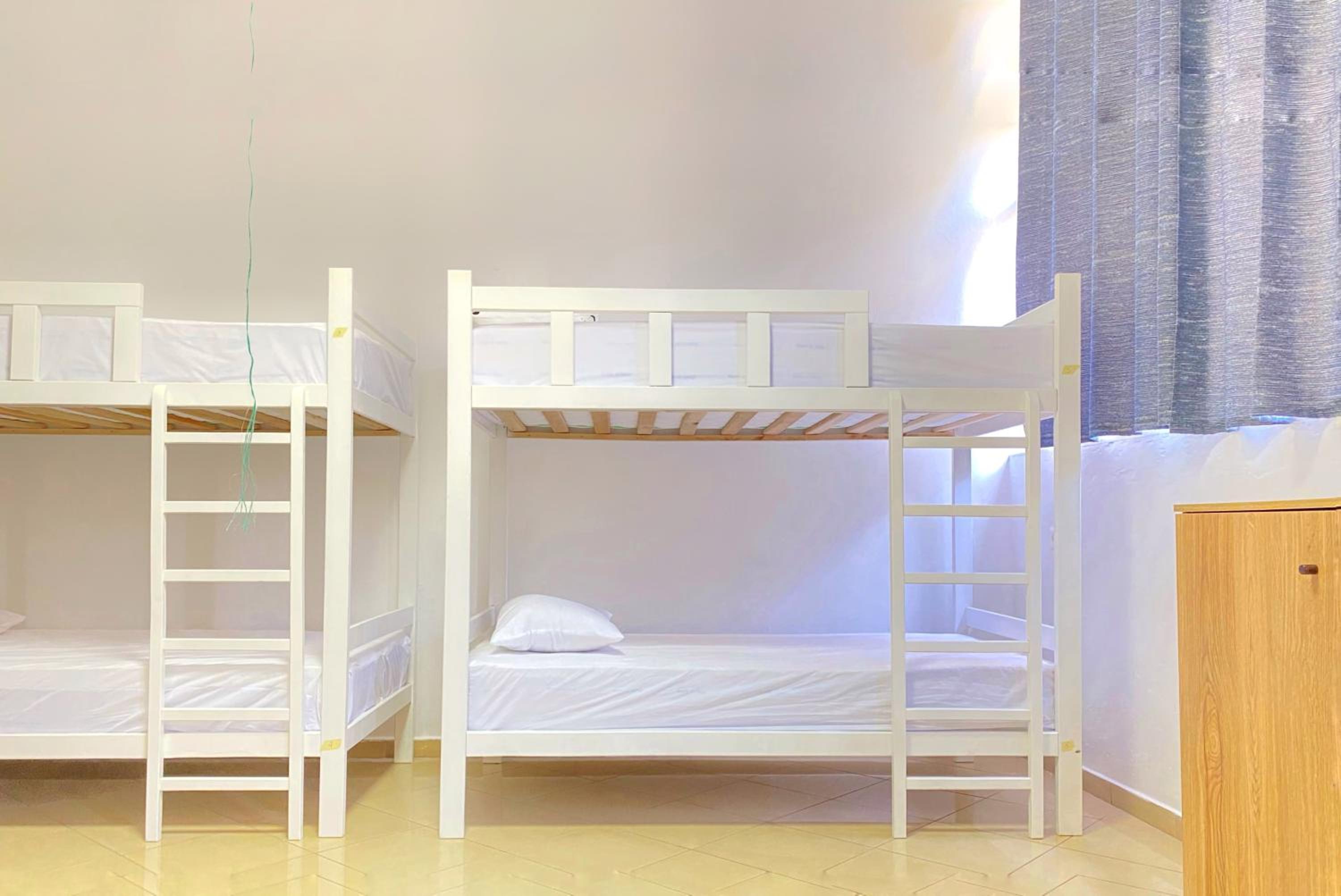 Bed in 8-Bed Mixed Dormitory Room photo 1
