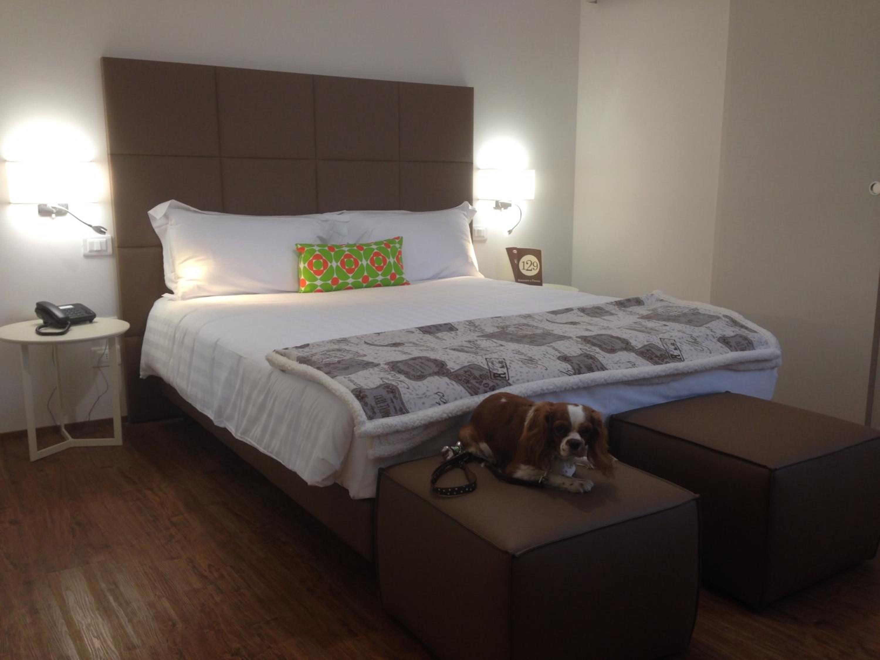 Comfort Double or Twin Room - Photo 7