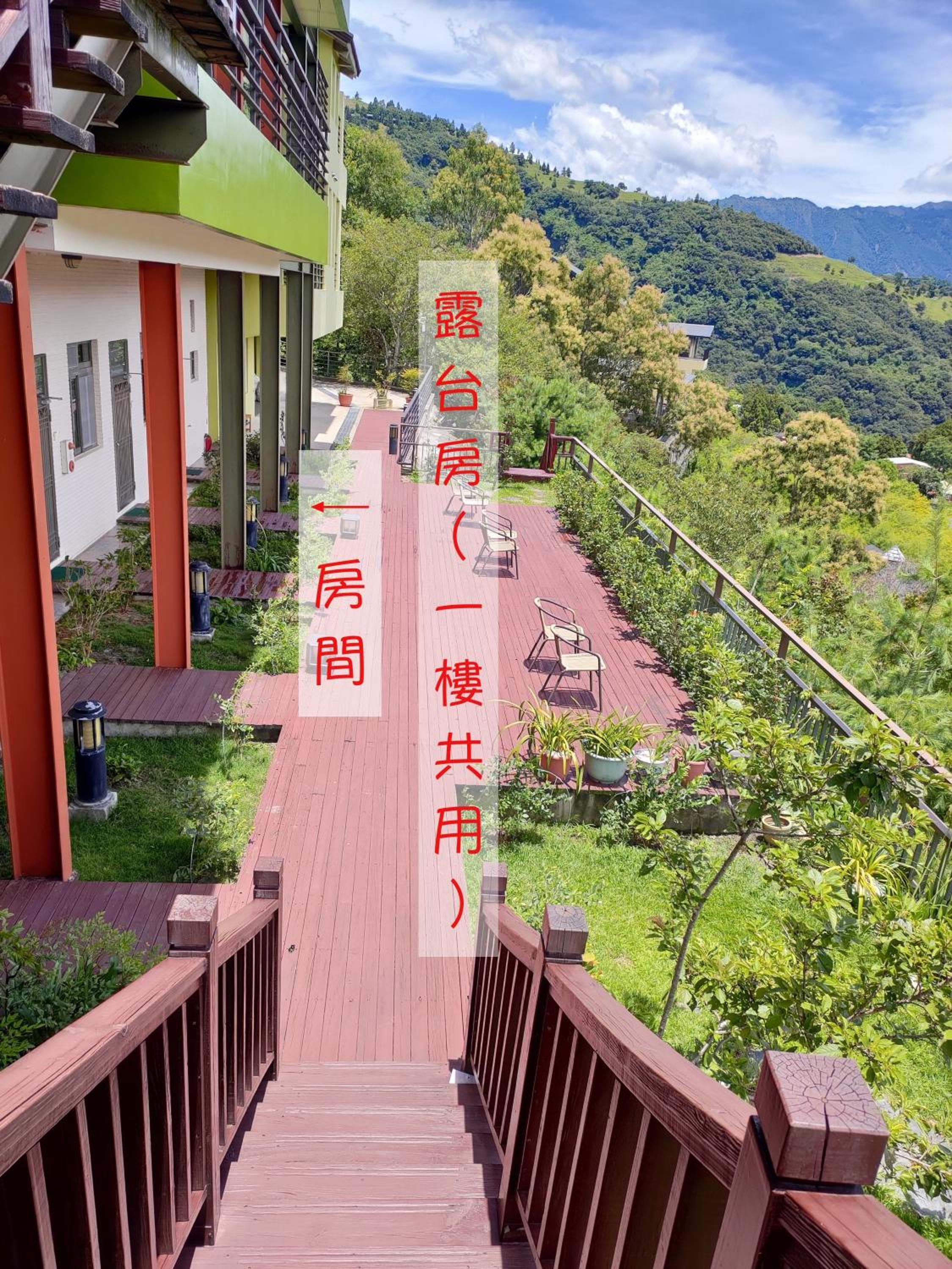 Double Room with Terrace photo 3