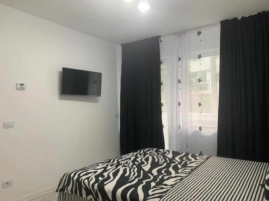 One-Bedroom Apartment - Photo 11