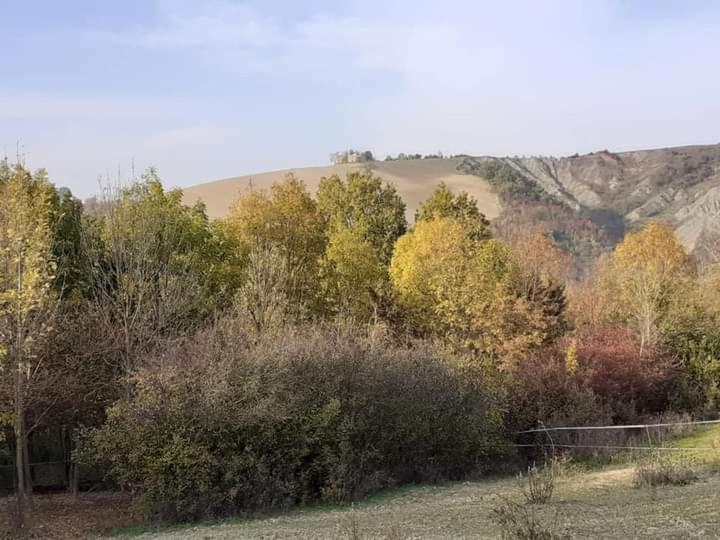 Studio with Garden View photo 2