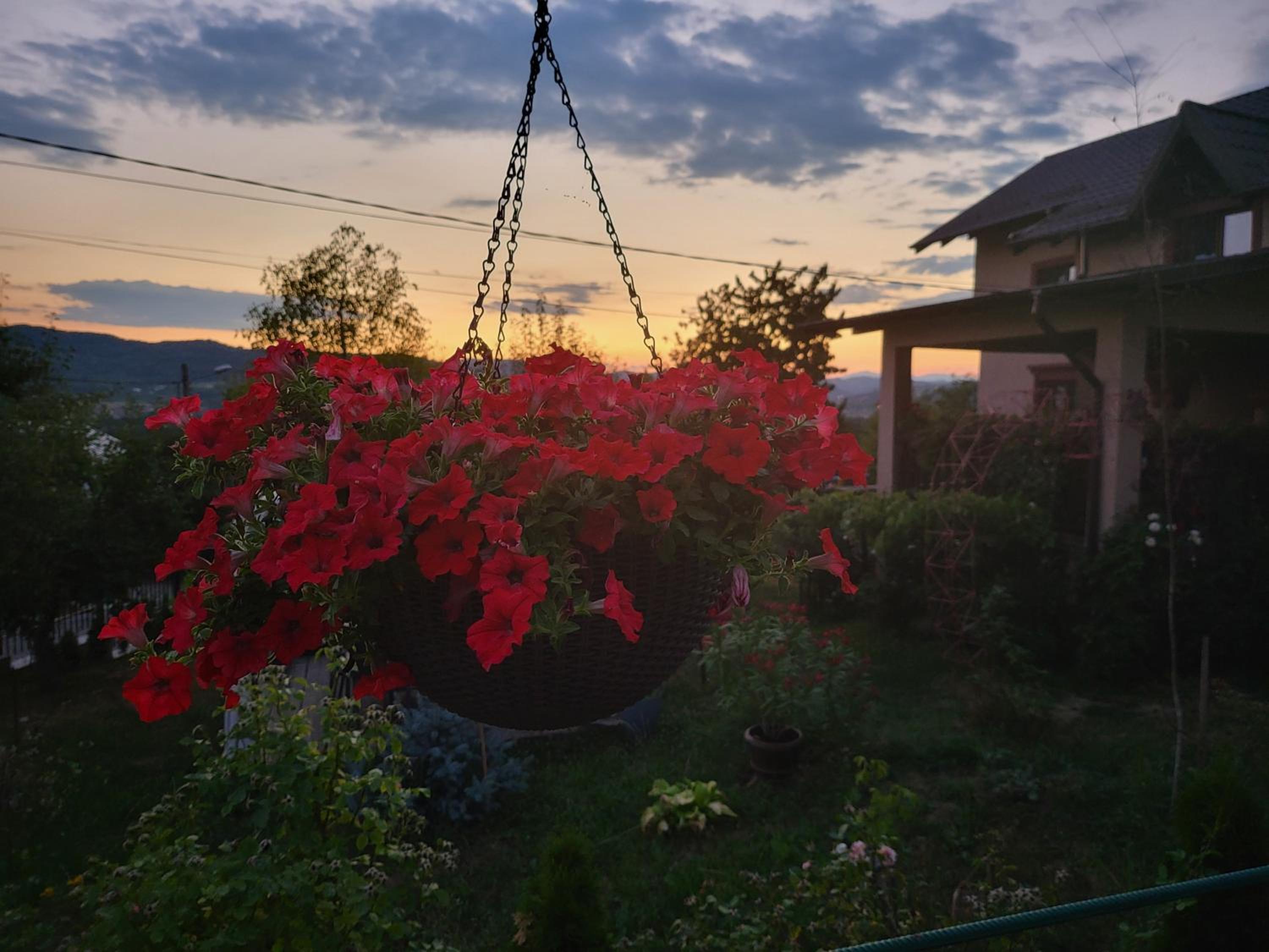 Villa - Photo 59