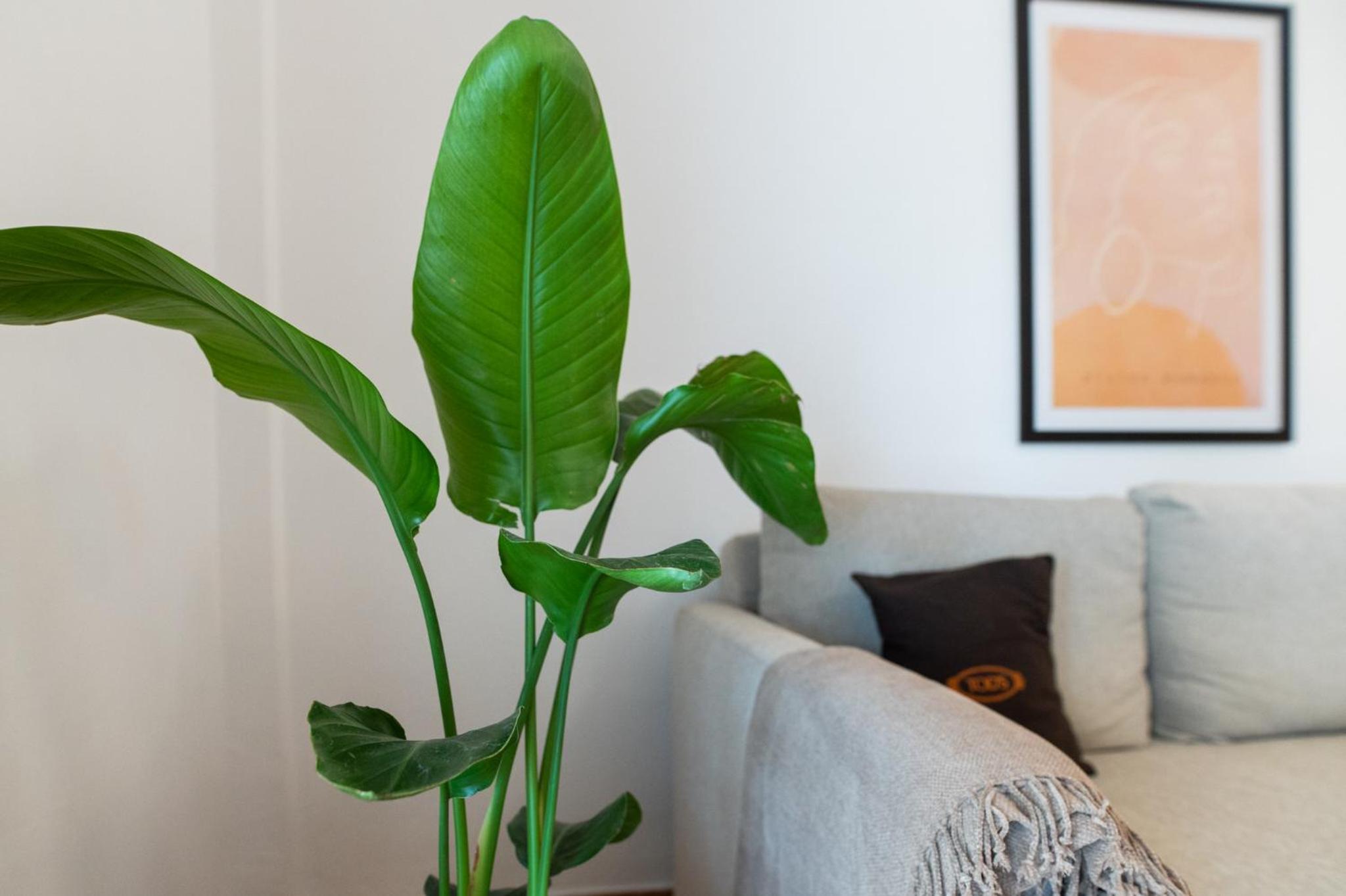 One-Bedroom Apartment - Photo 9