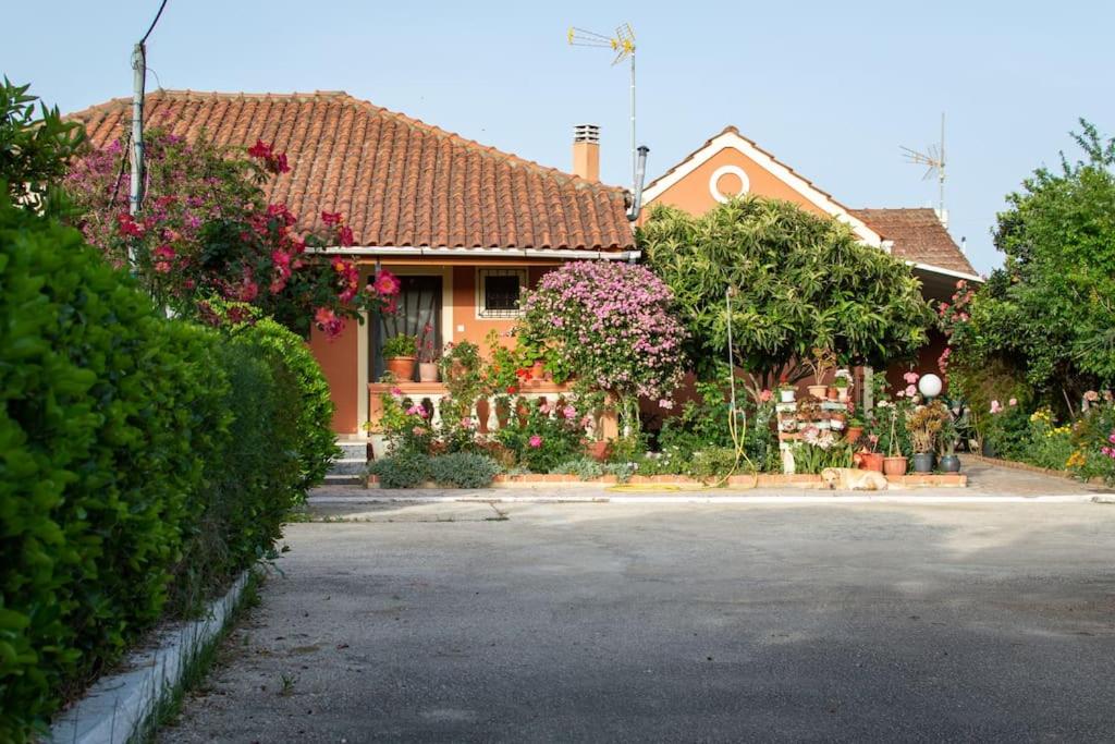 Two-Bedroom House photo 3
