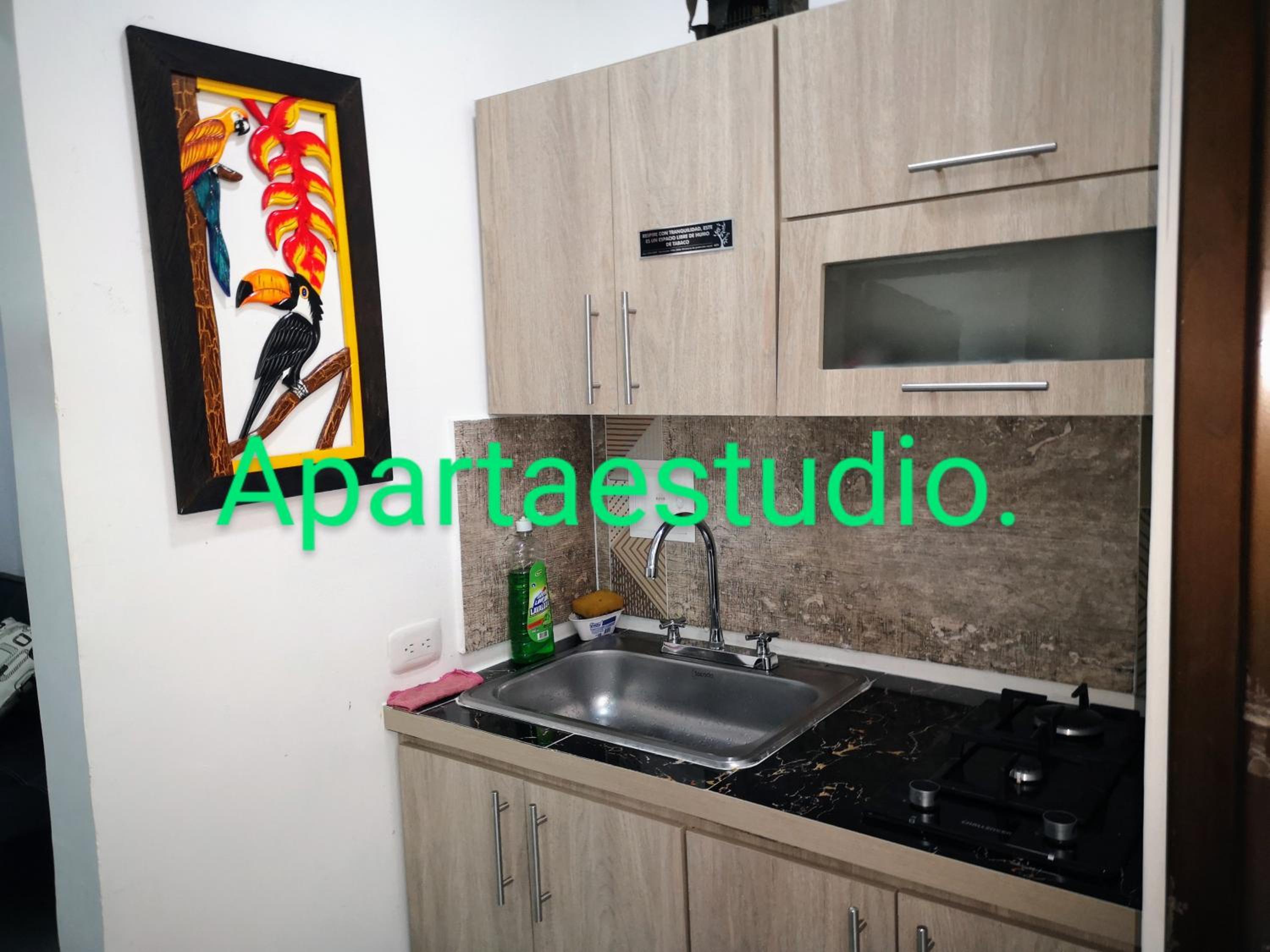Family Studio photo 3