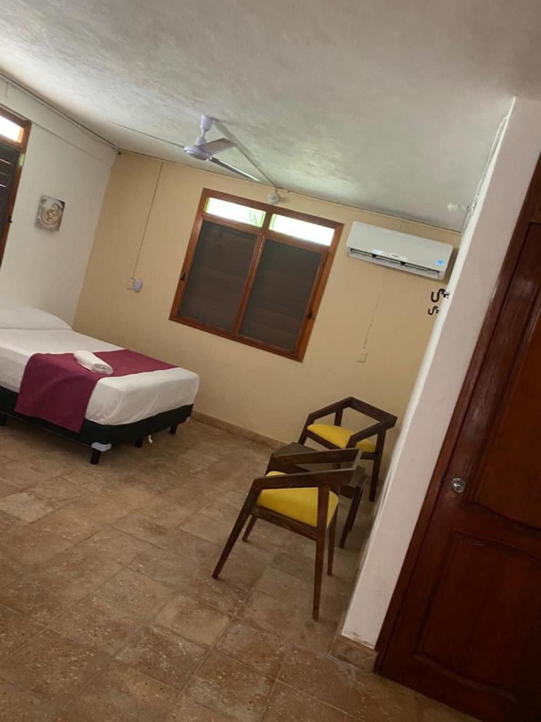 Double Room with Garden View photo 3