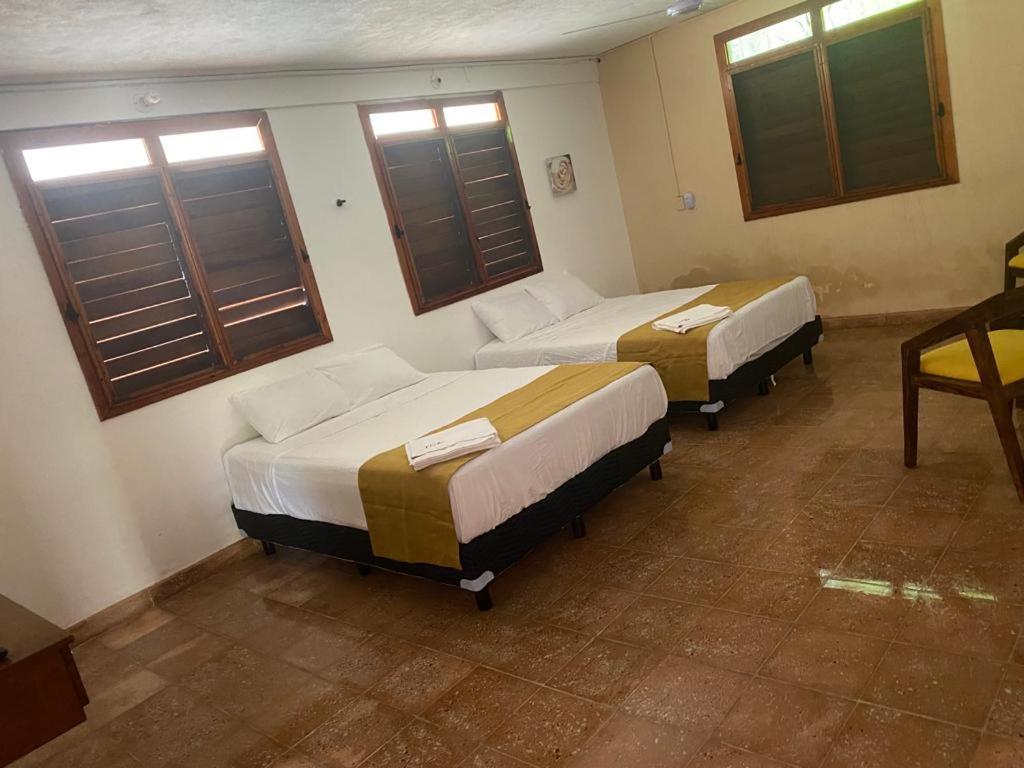 Double Room With Garden View photo 1