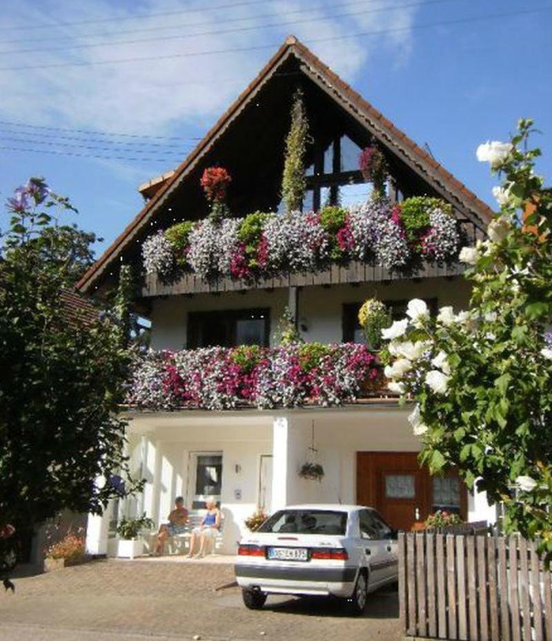 Apartment with Terrace photo 3