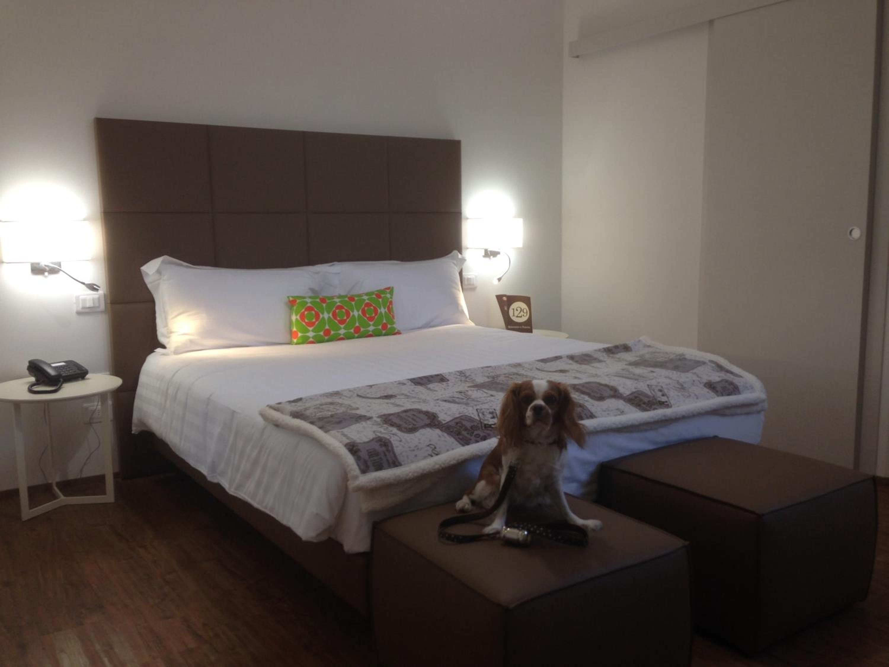 Deluxe Family Room - Photo 9