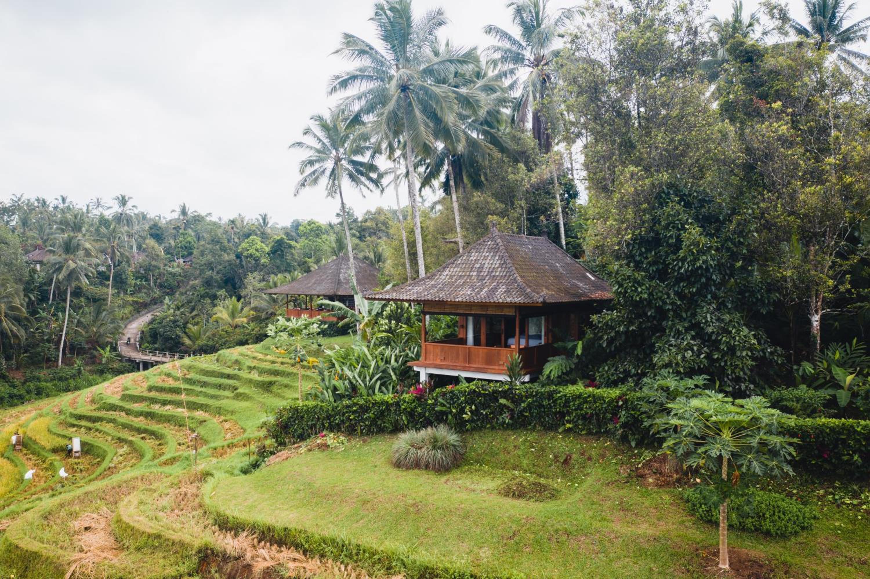 Villa Nangka - Deluxe Bungalow with Rice Field View photo 3