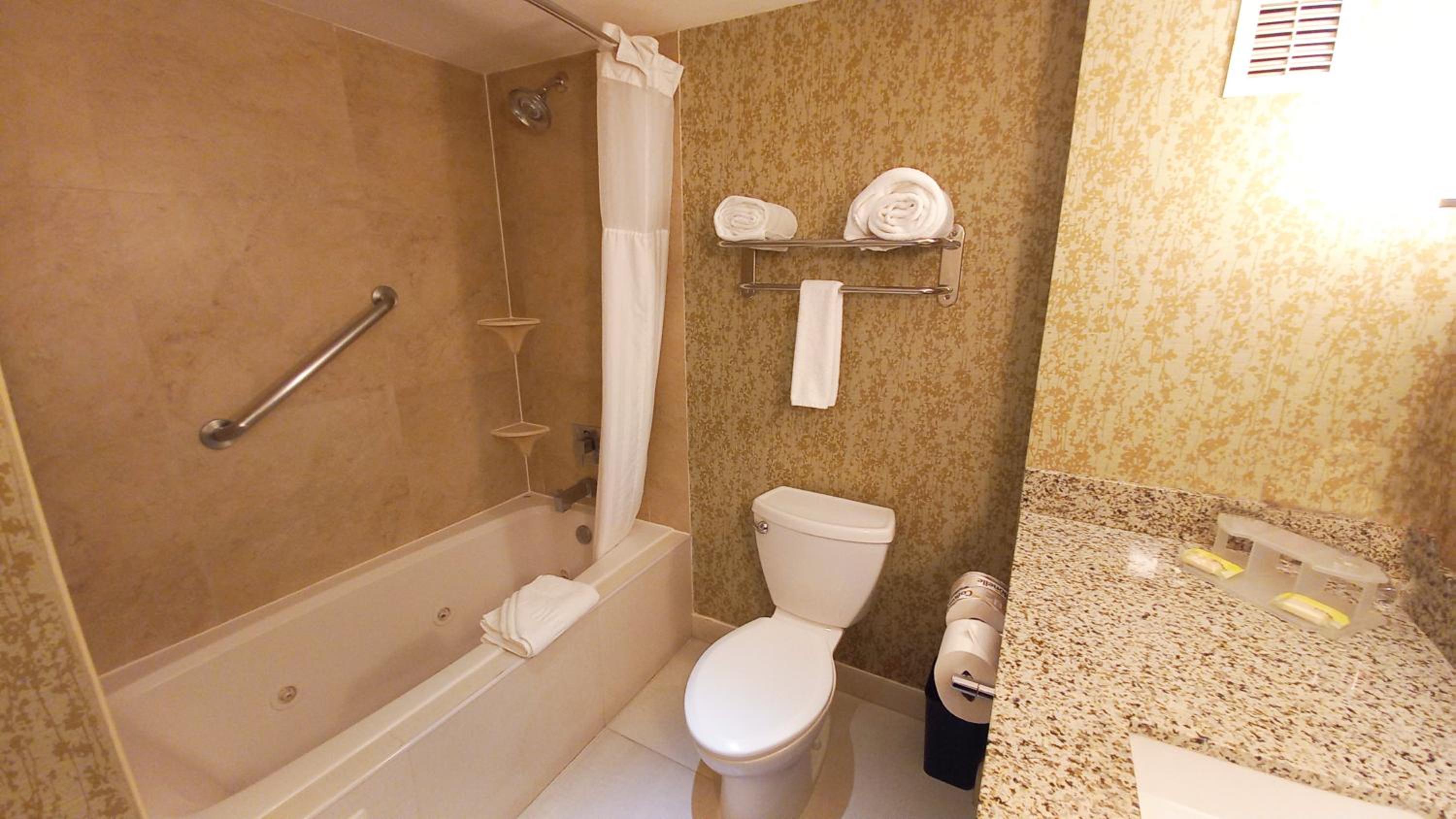 King Suite with Sofa Bed photo 3