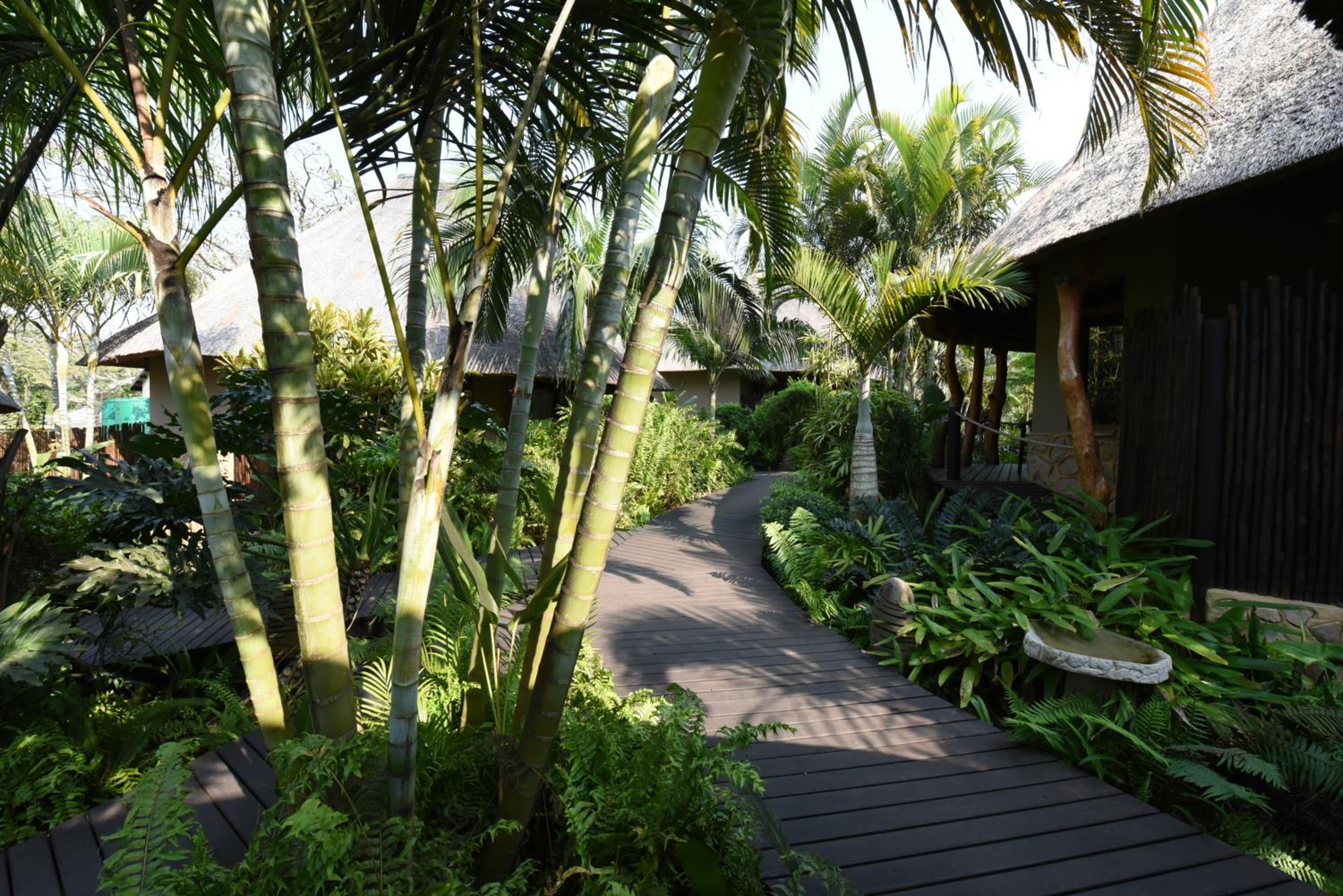 Luxury King or Twin Chalet photo 2