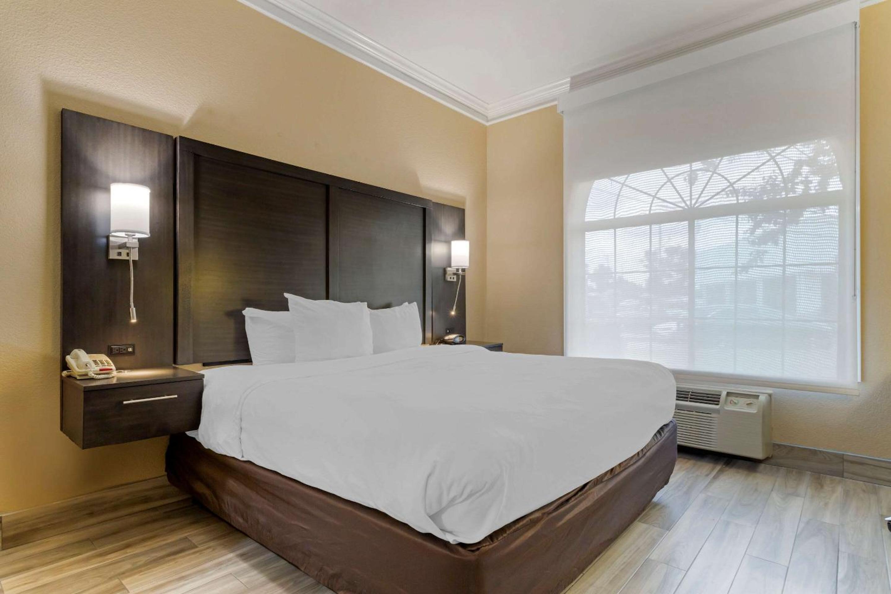 King Suite - Non-Smoking - Photo 8