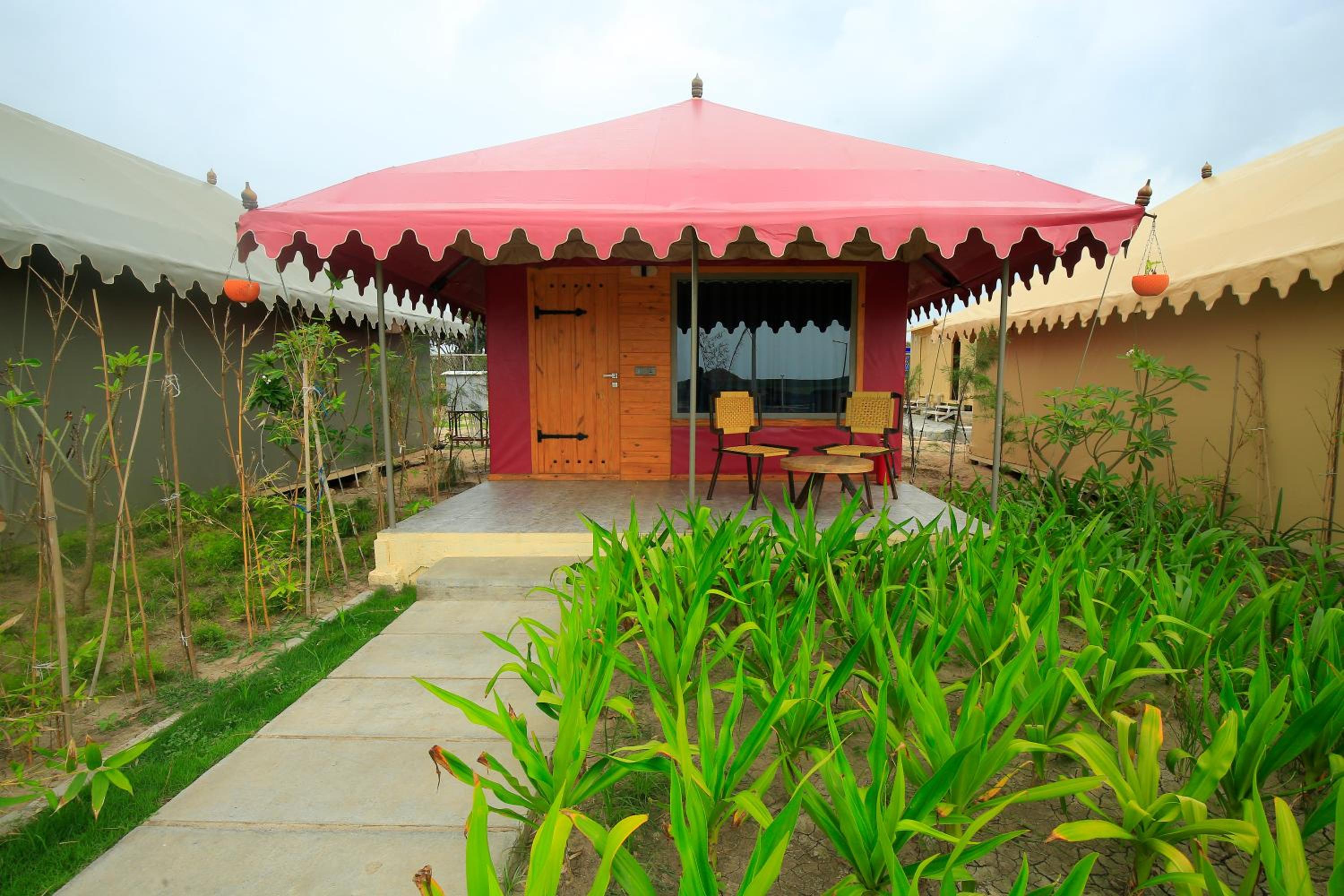Winter Green Garden View Tent - Photo 14