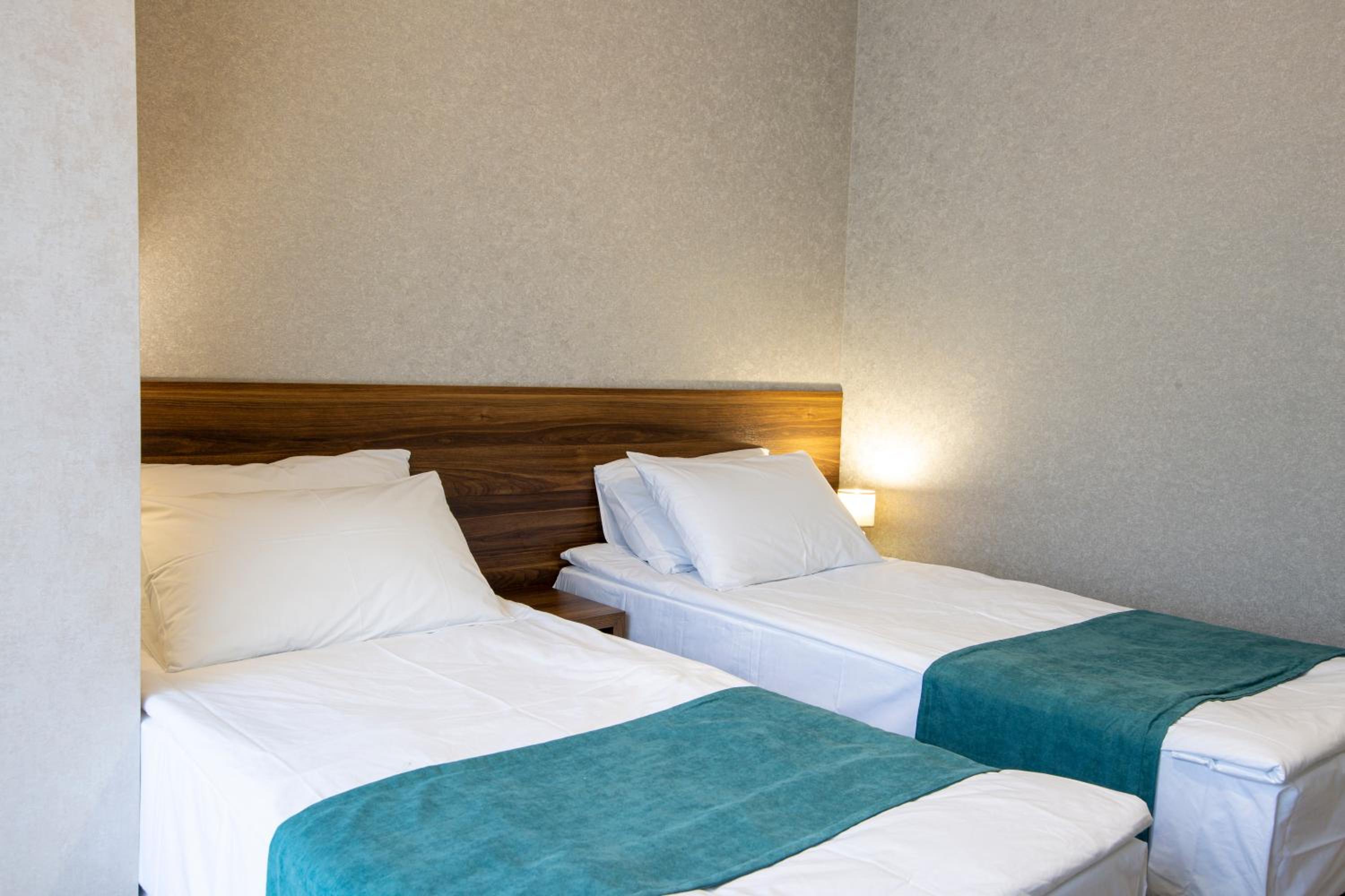 Deluxe Twin Room photo 1