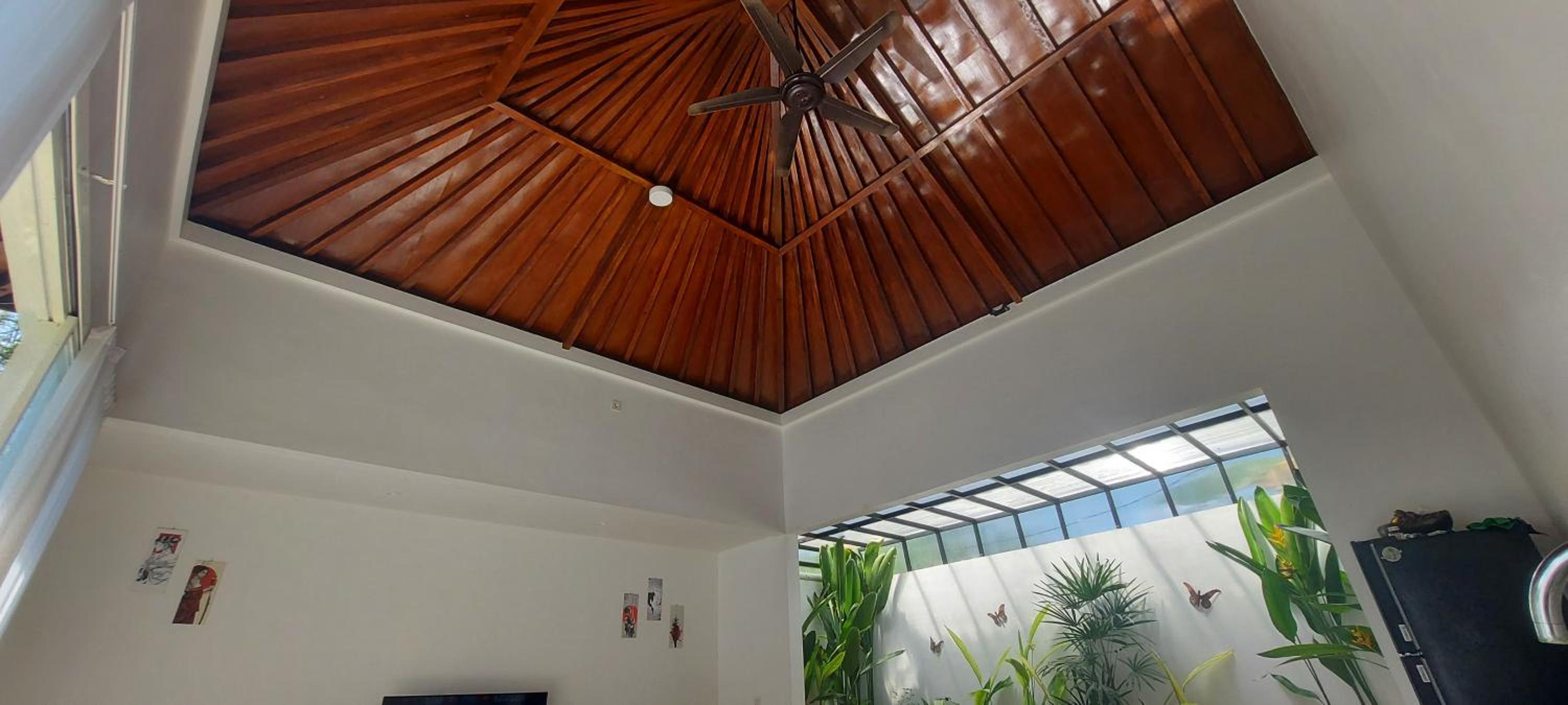 Three-Bedroom Villa photo 1
