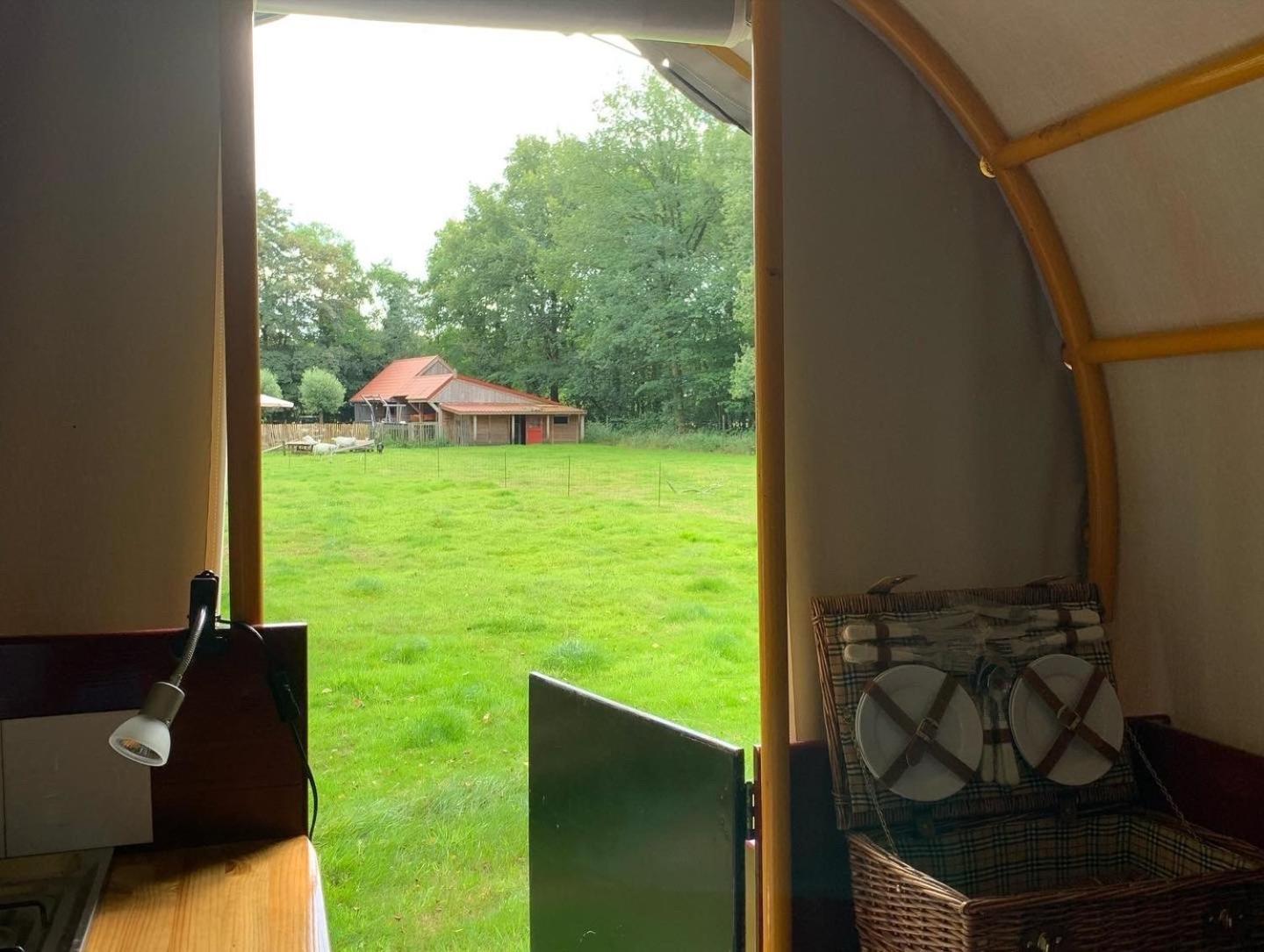 Tent photo 2