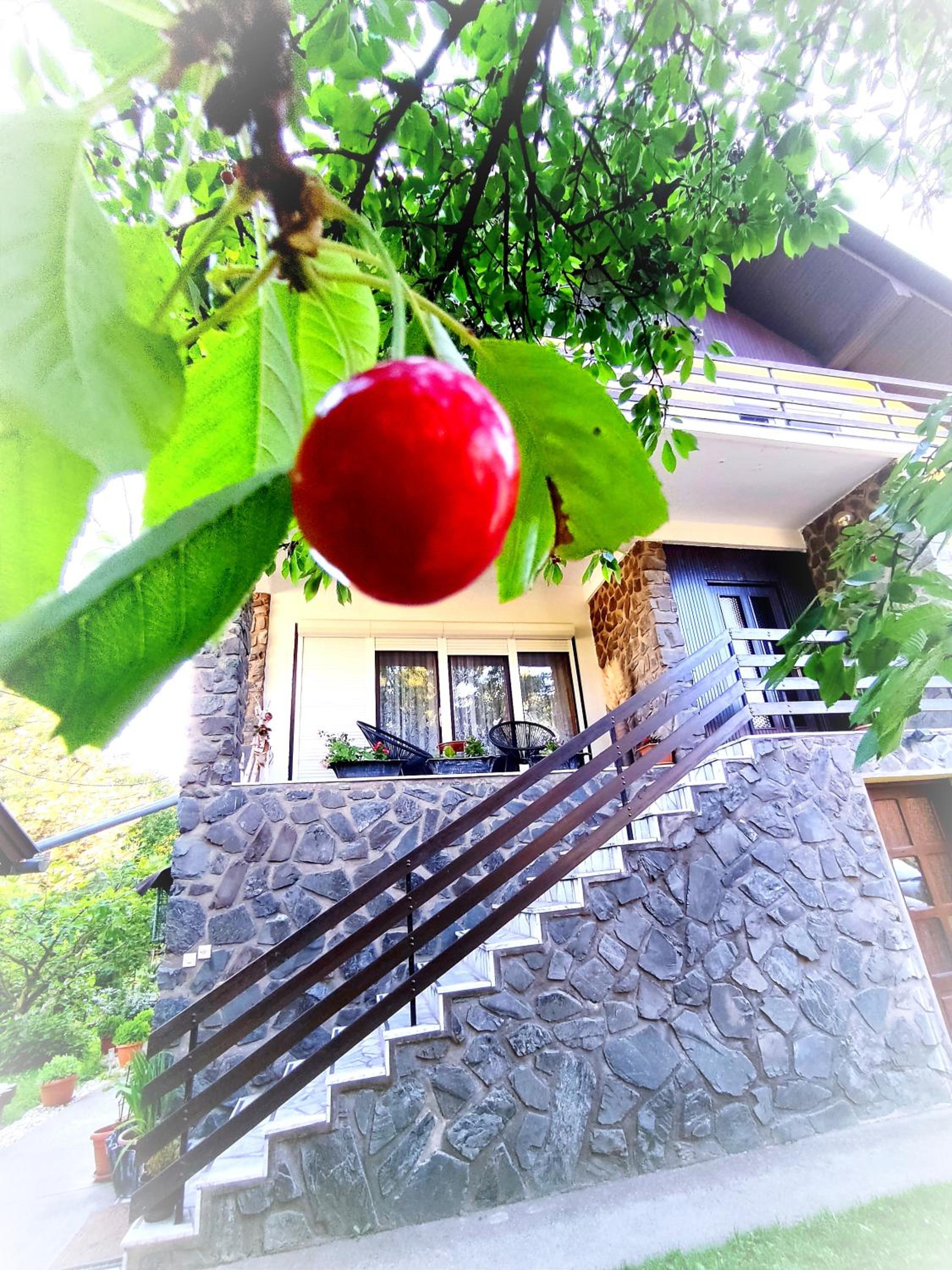 Vacation Home photo 2