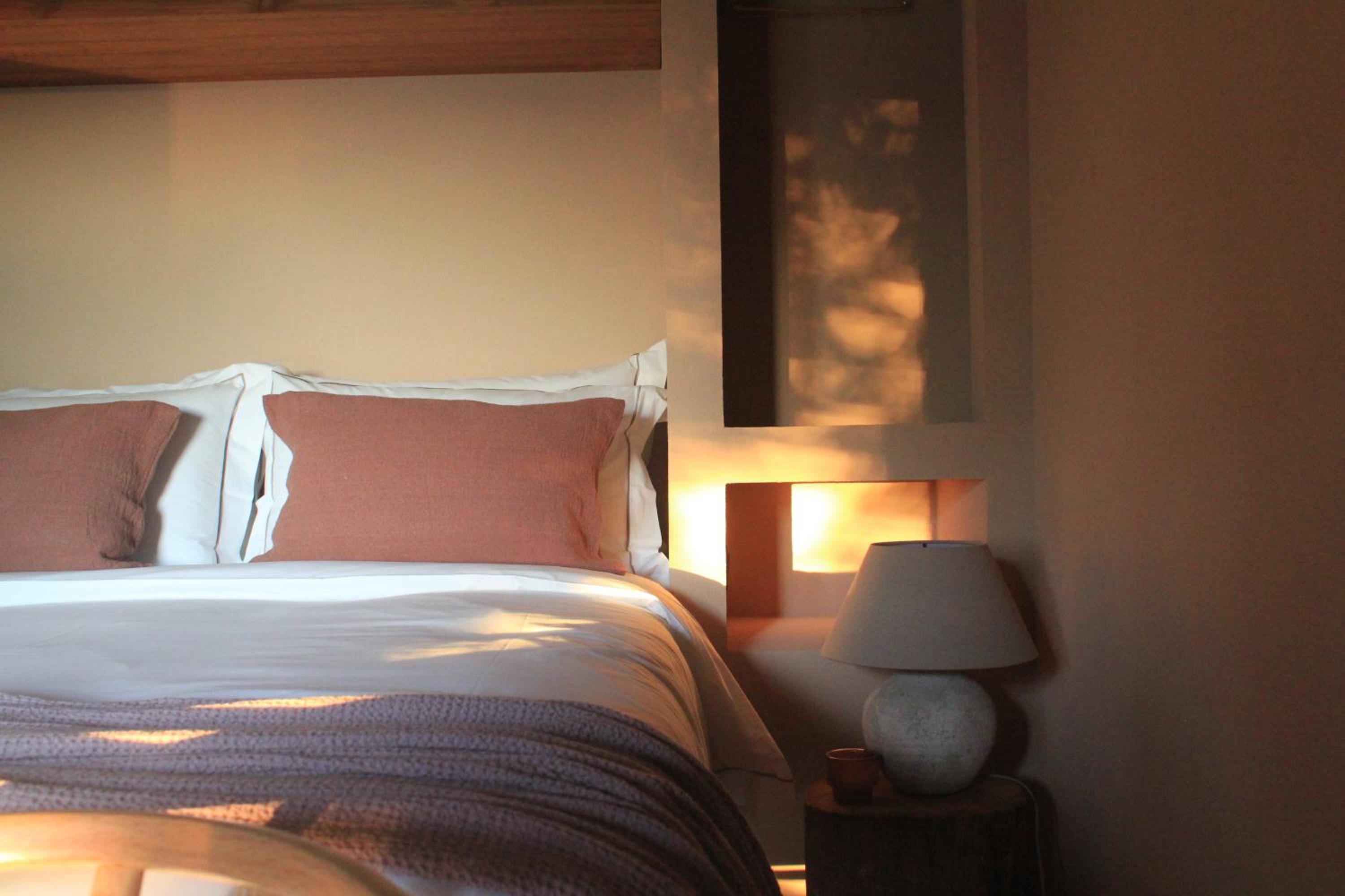 Superior Suite - Photo 14