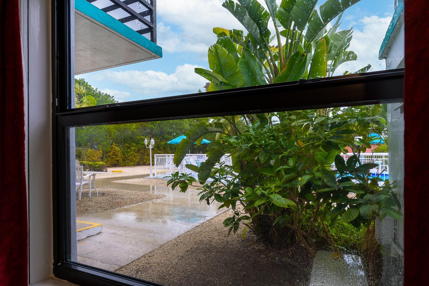 Queen Room with Pool View - Photo 3