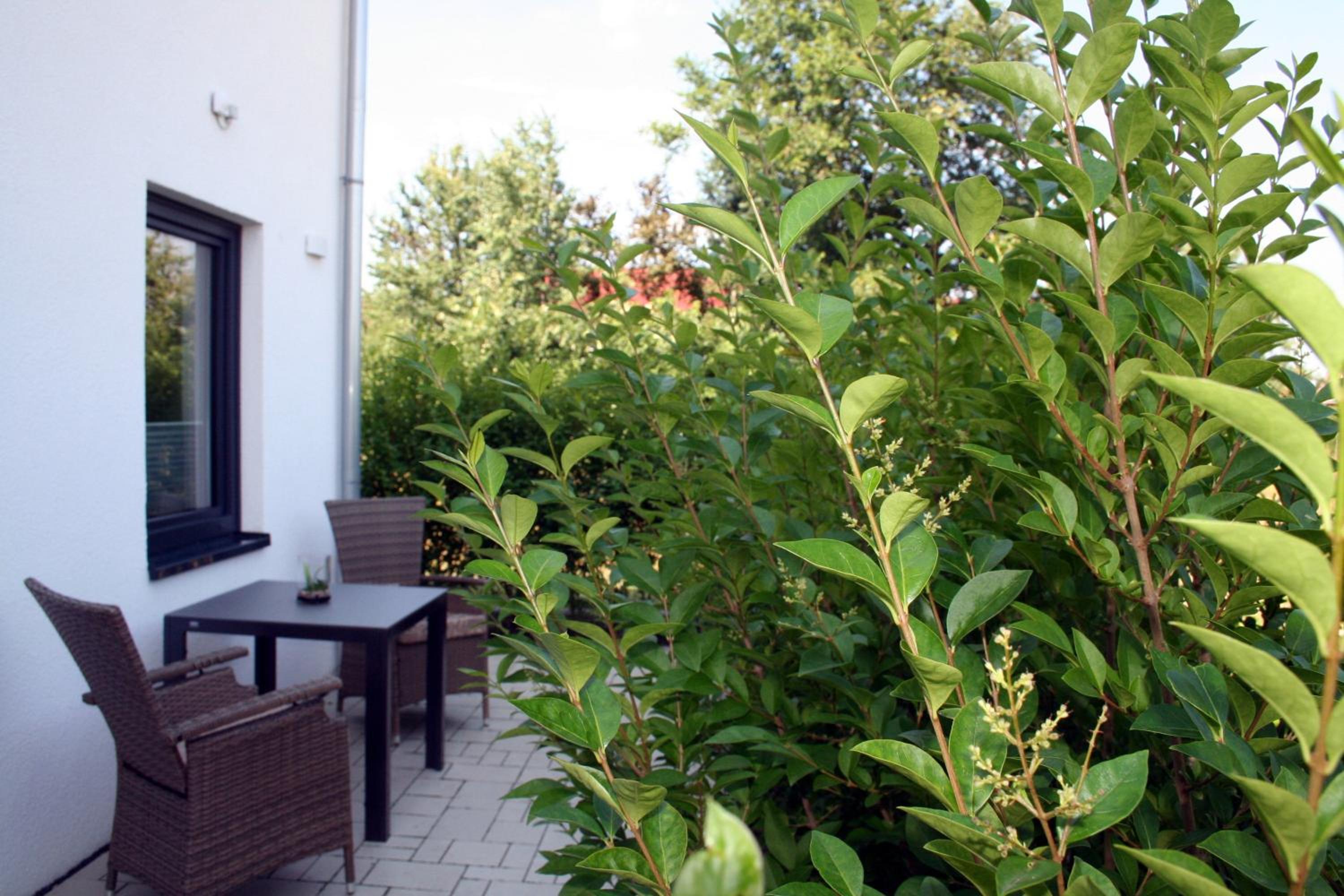 Hotel HeideZeiten, Billede 3