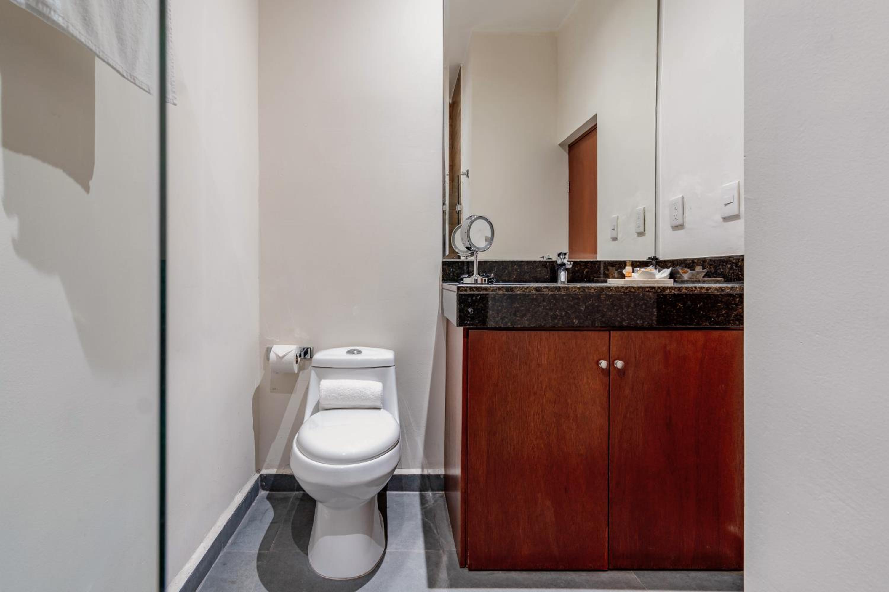 Deluxe Suite - Photo 8