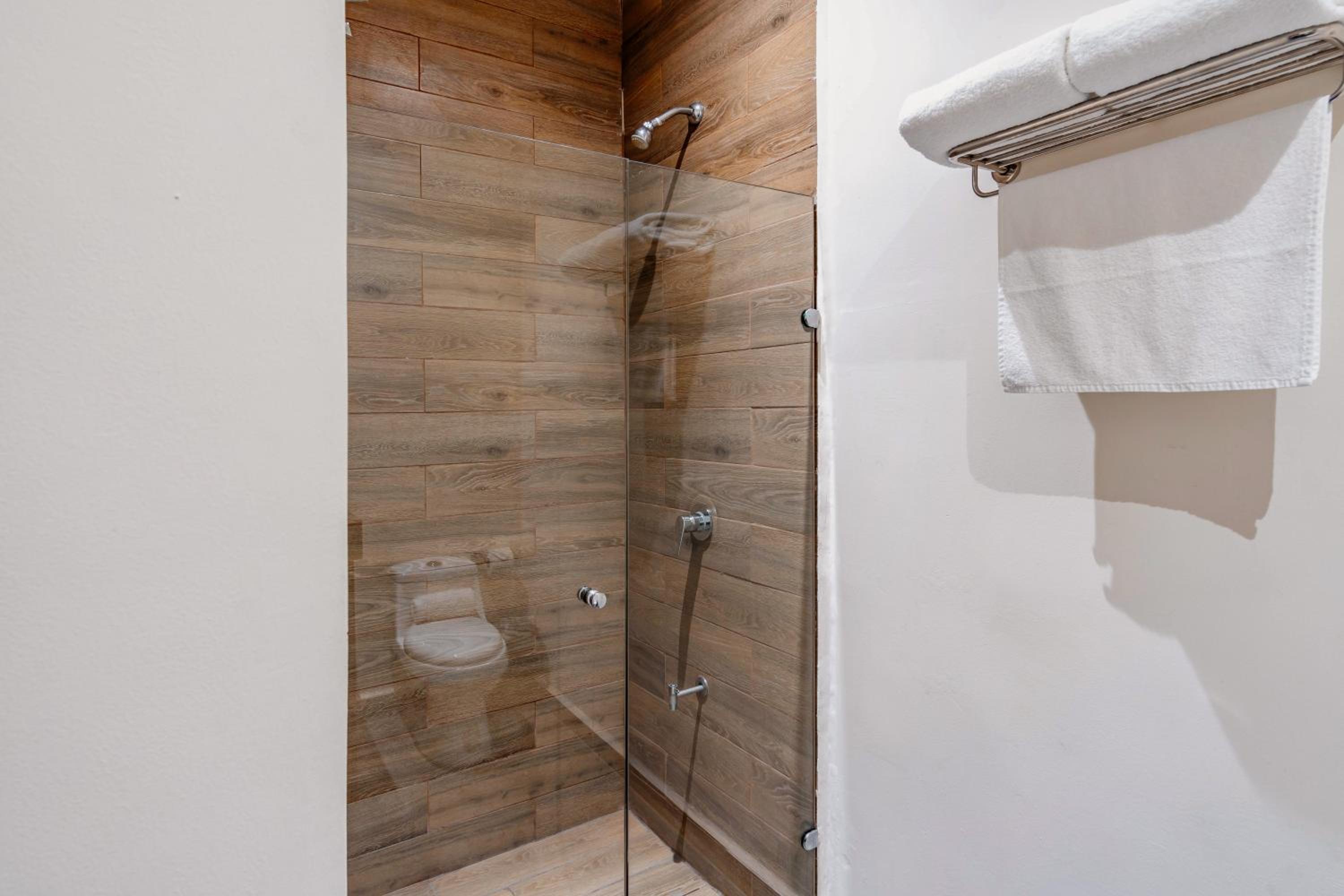 Deluxe Suite - Photo 9