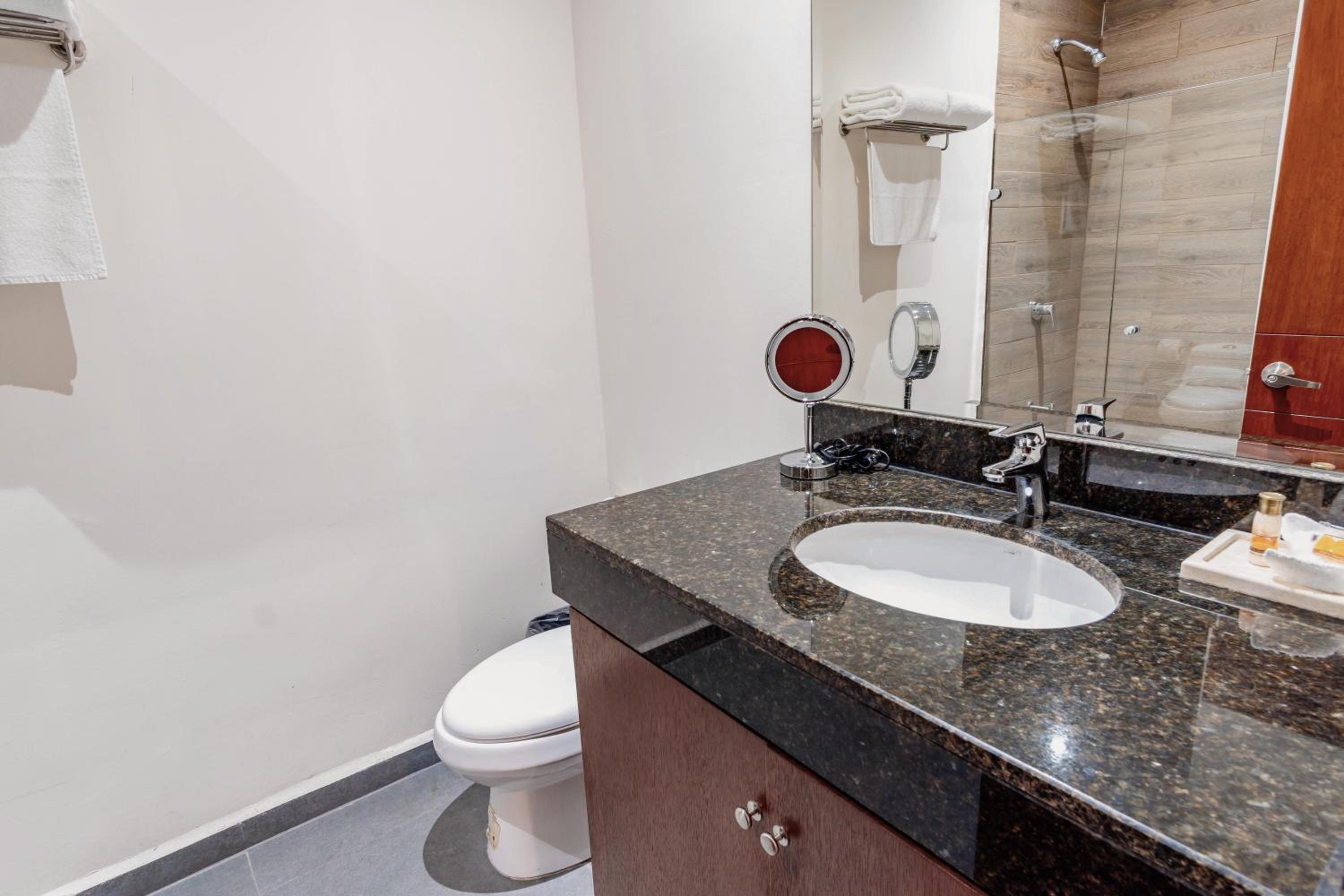Deluxe Suite - Photo 10