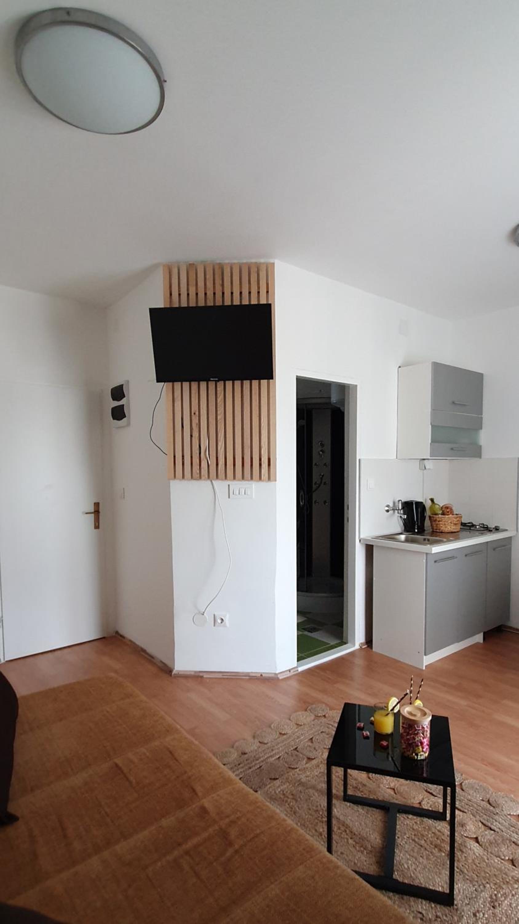 One-Bedroom Apartment photo 2