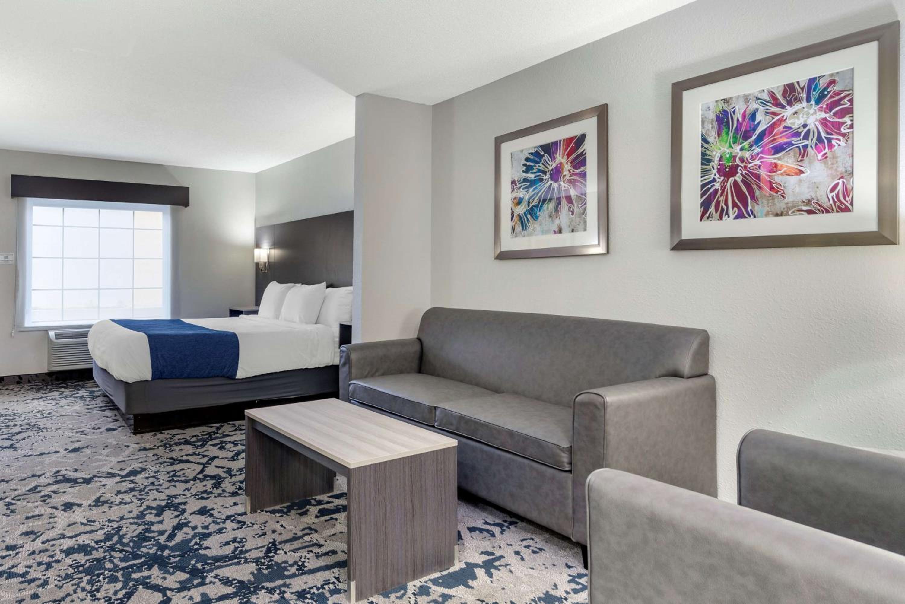 King Suite with Sofa Bed - Non-Smoking - Photo 1