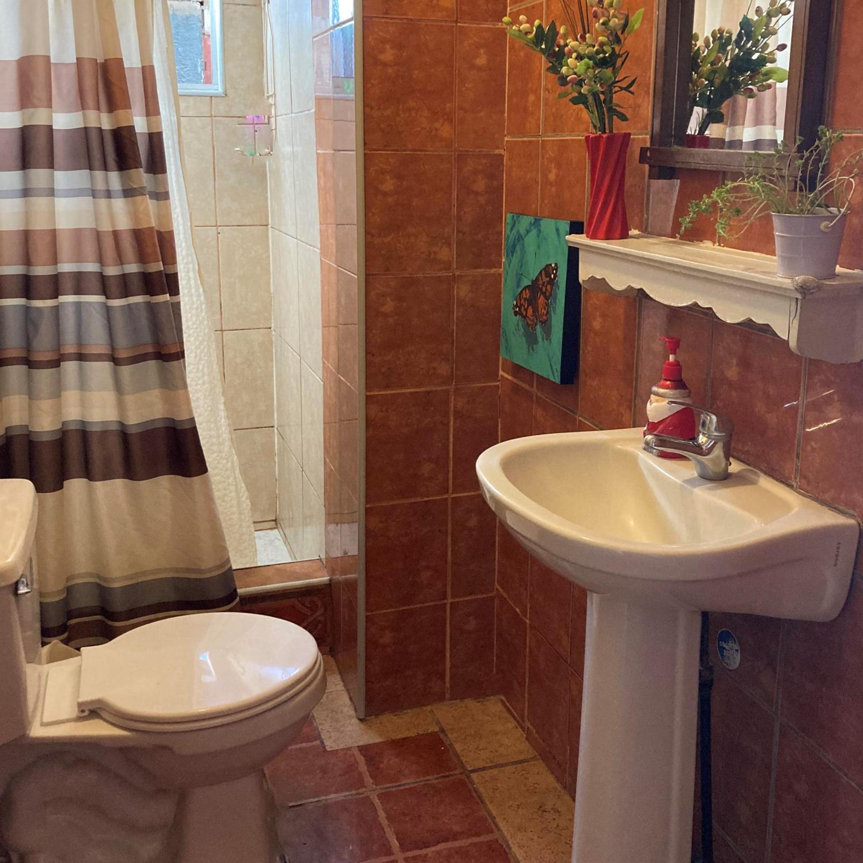 Twin Room with Shared Bathroom photo 3