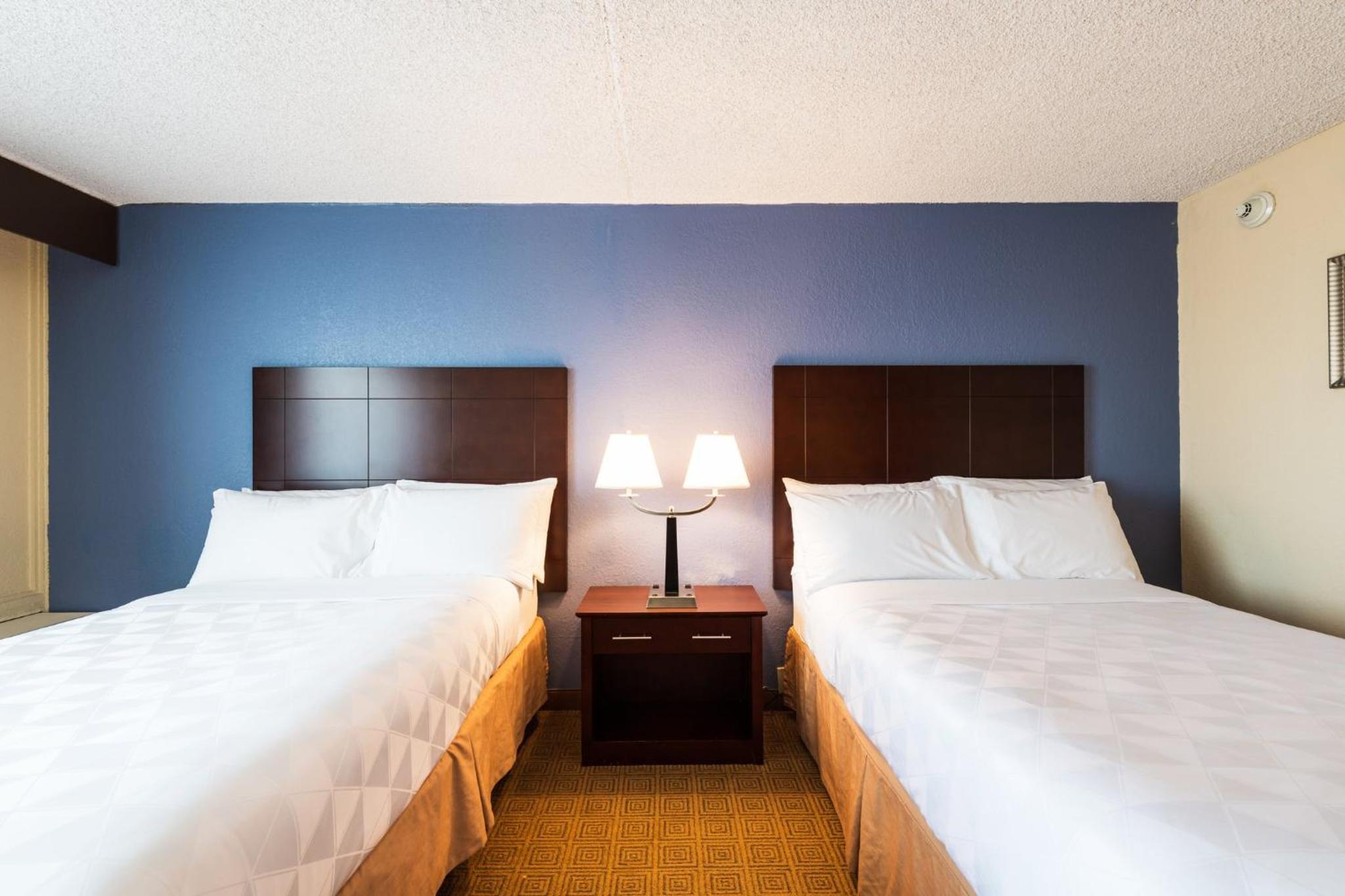 Standard Double Room with Two Double Beds - Photo 2