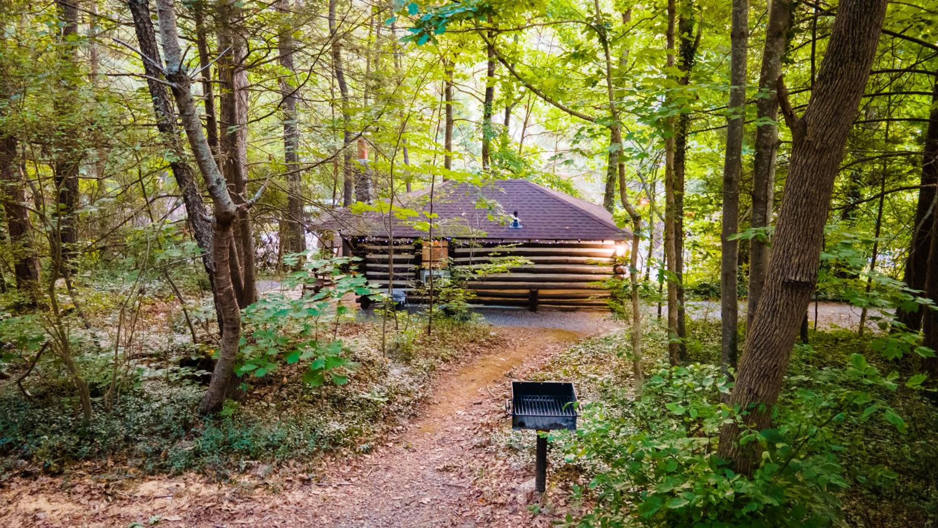 Overlook Cabin - Photo 2