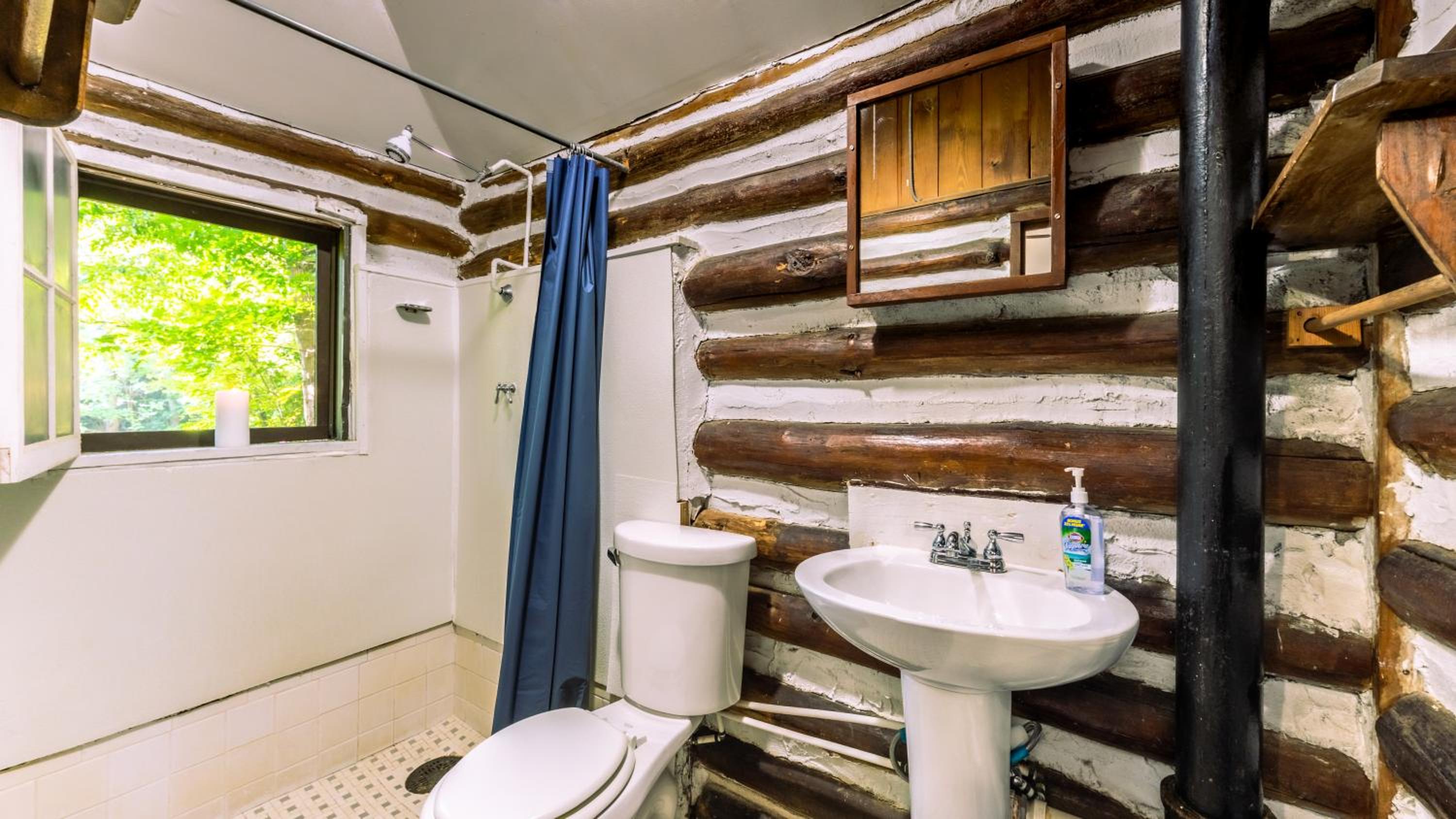 Overlook Cabin - Photo 3