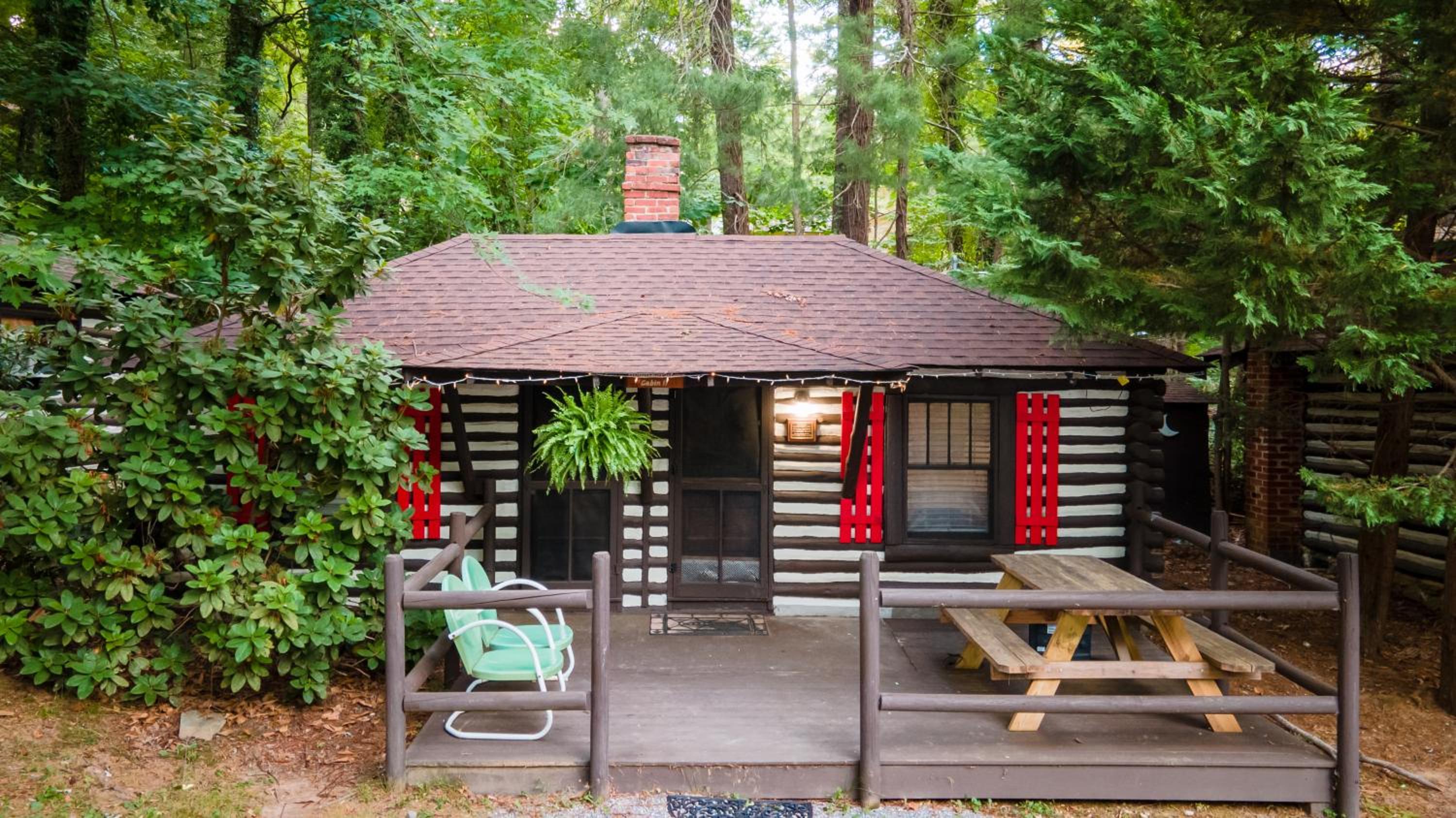 Mountain Dew Cabin - Photo 3