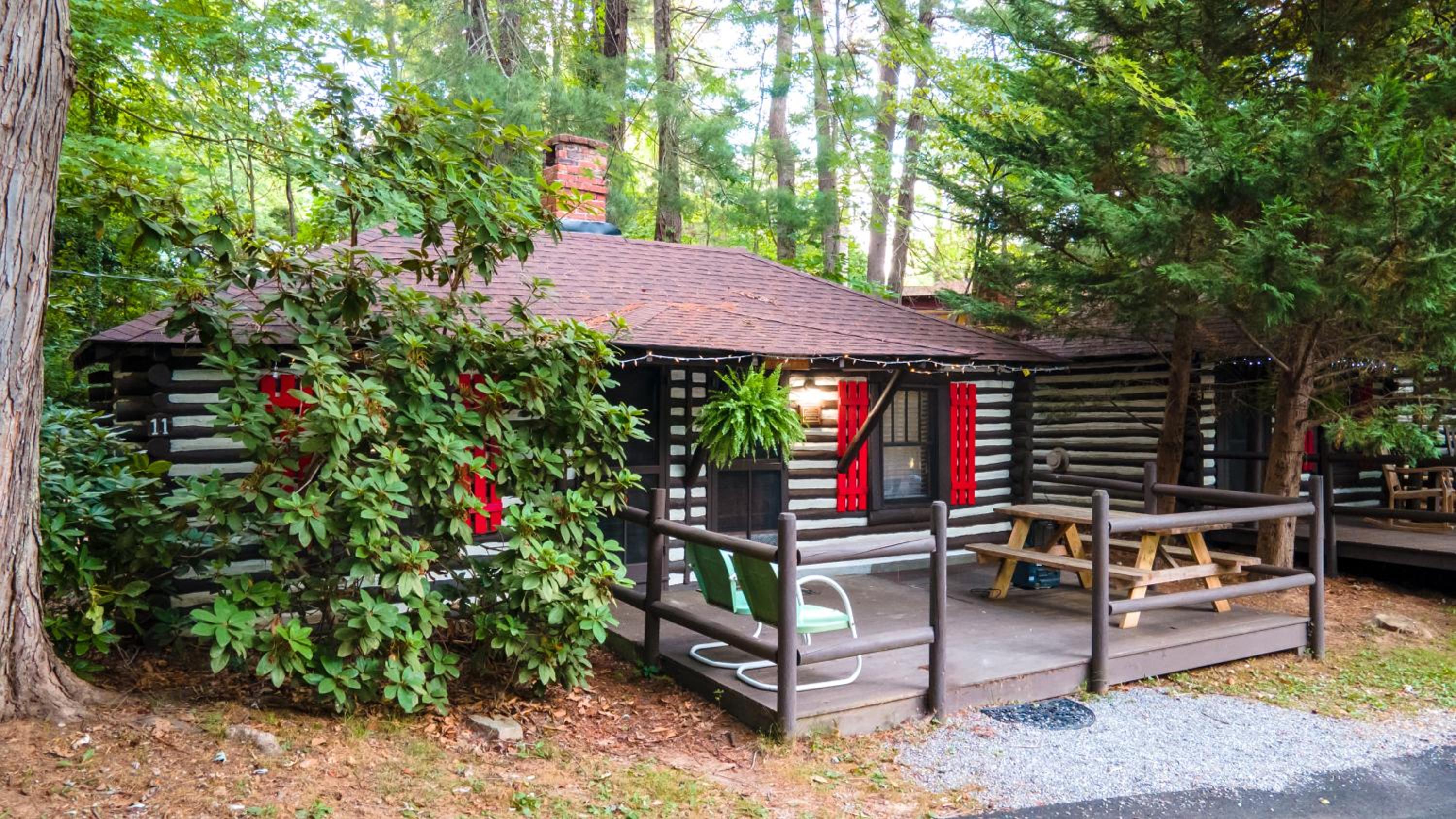 Mountain Dew Cabin - Photo 6