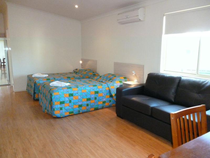 Economy Accessible Studio - Pet Friendly photo 1