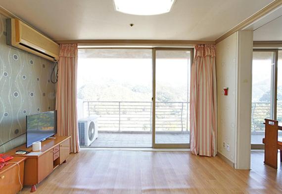 39 Py photo 1