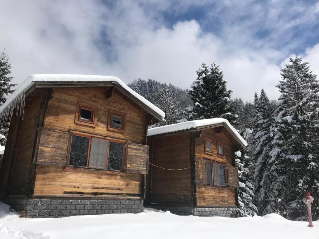 Chalet photo 3