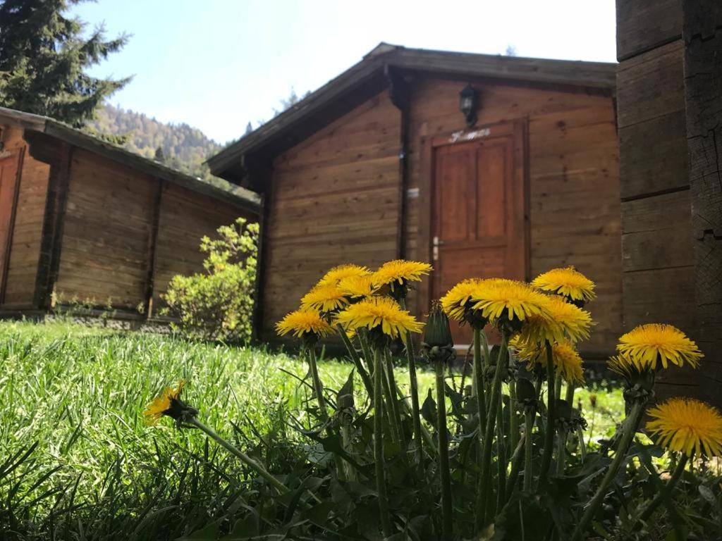 One-Bedroom Chalet photo 3