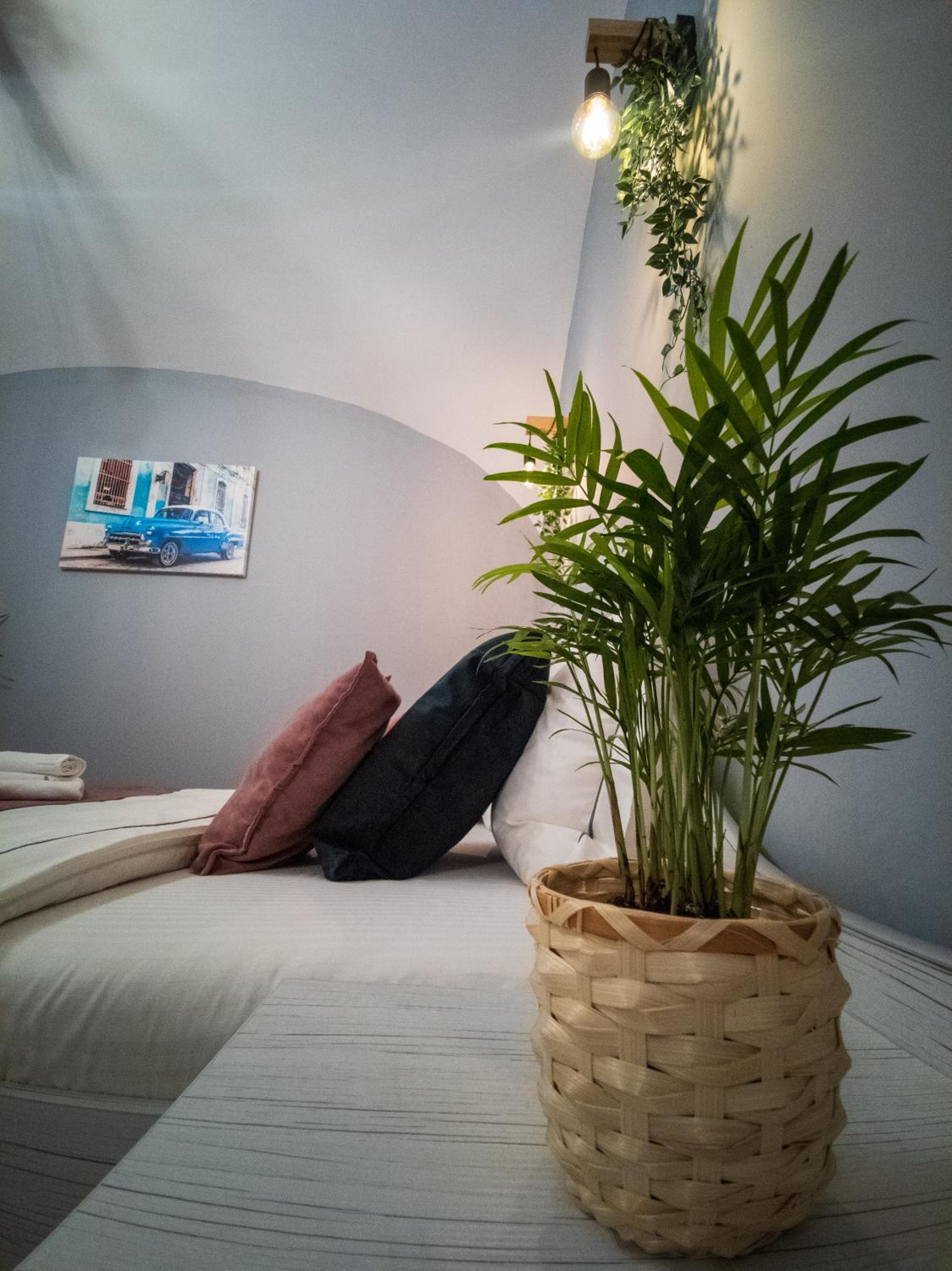 One-Bedroom Apartment - Photo 23