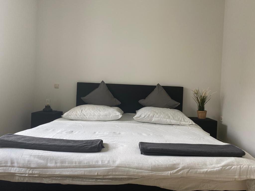 One-Bedroom Apartment photo 3