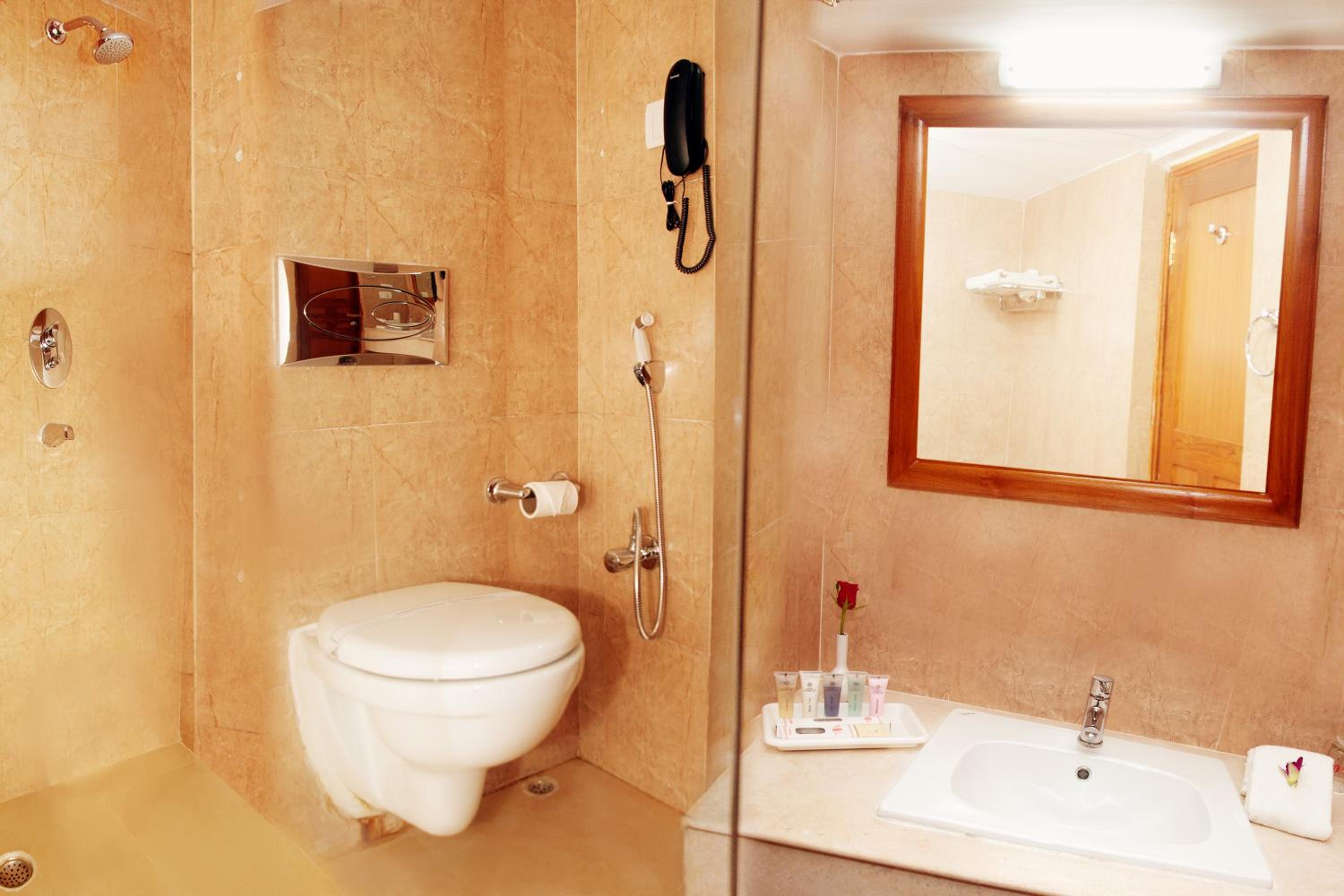 Deluxe Double or Twin Room photo 2