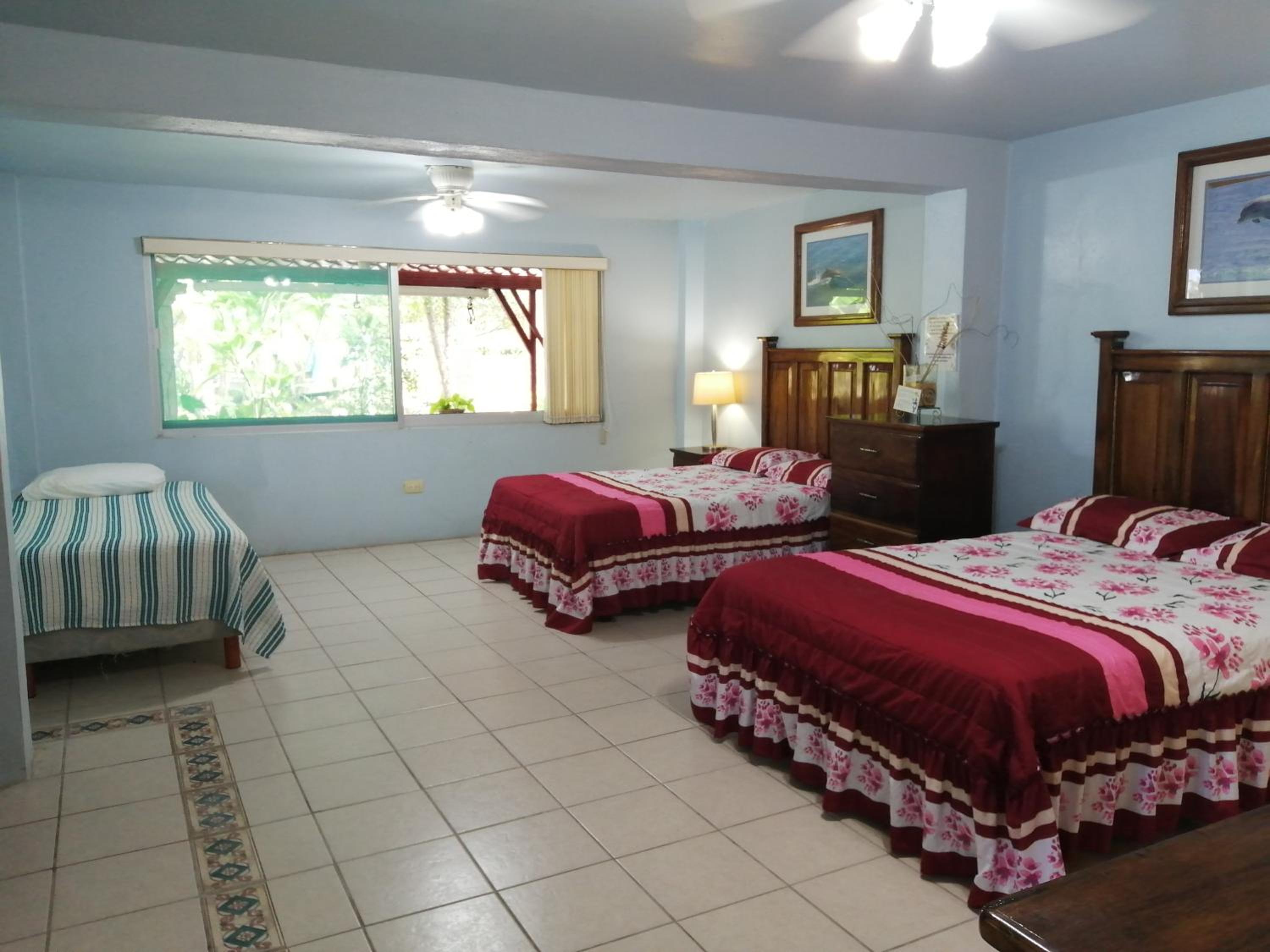 Double Room with Garden View photo 1