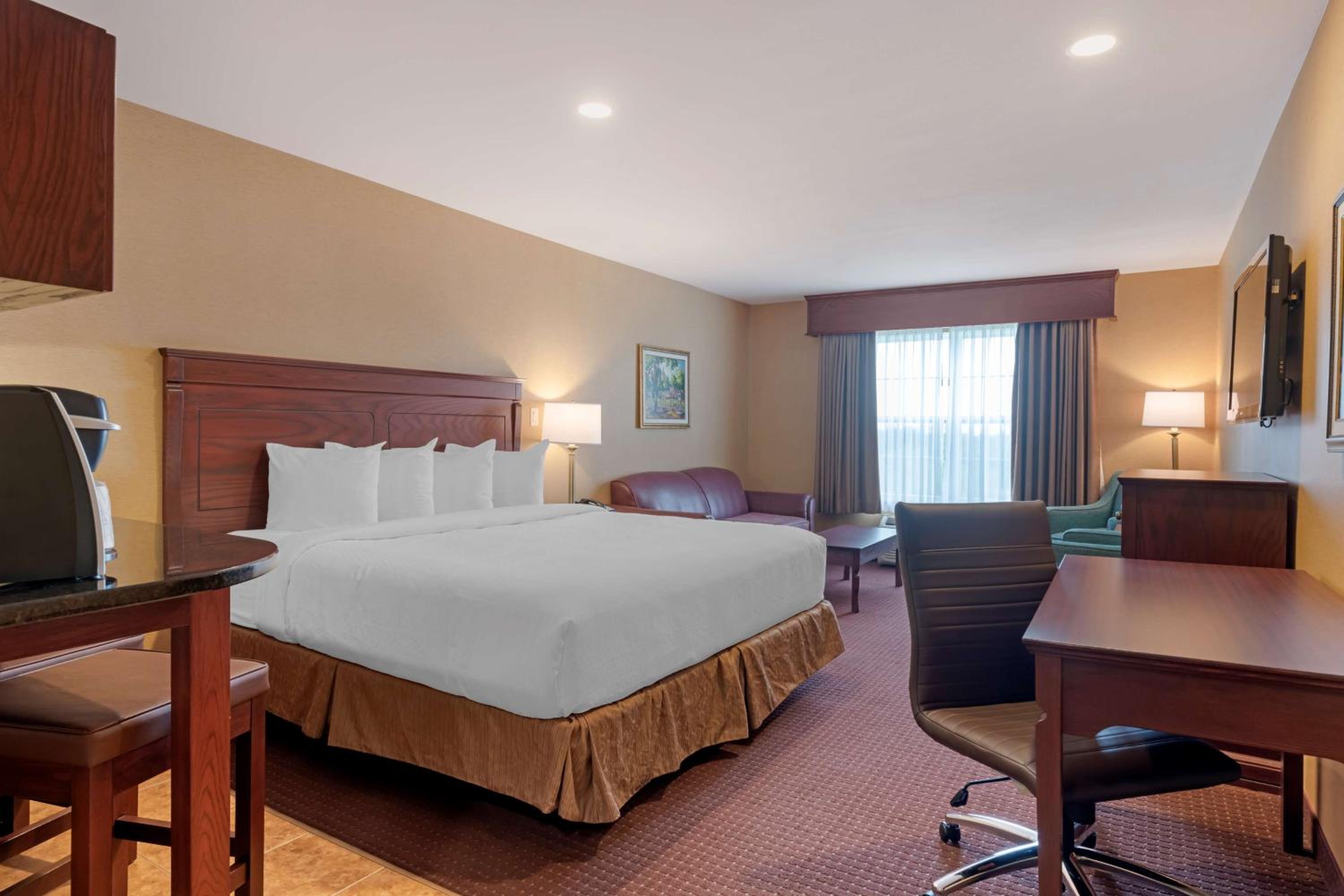 One-Bedroom King Suite with Sofa Bed and Rain Shower - Non-Smoking - Photo 1