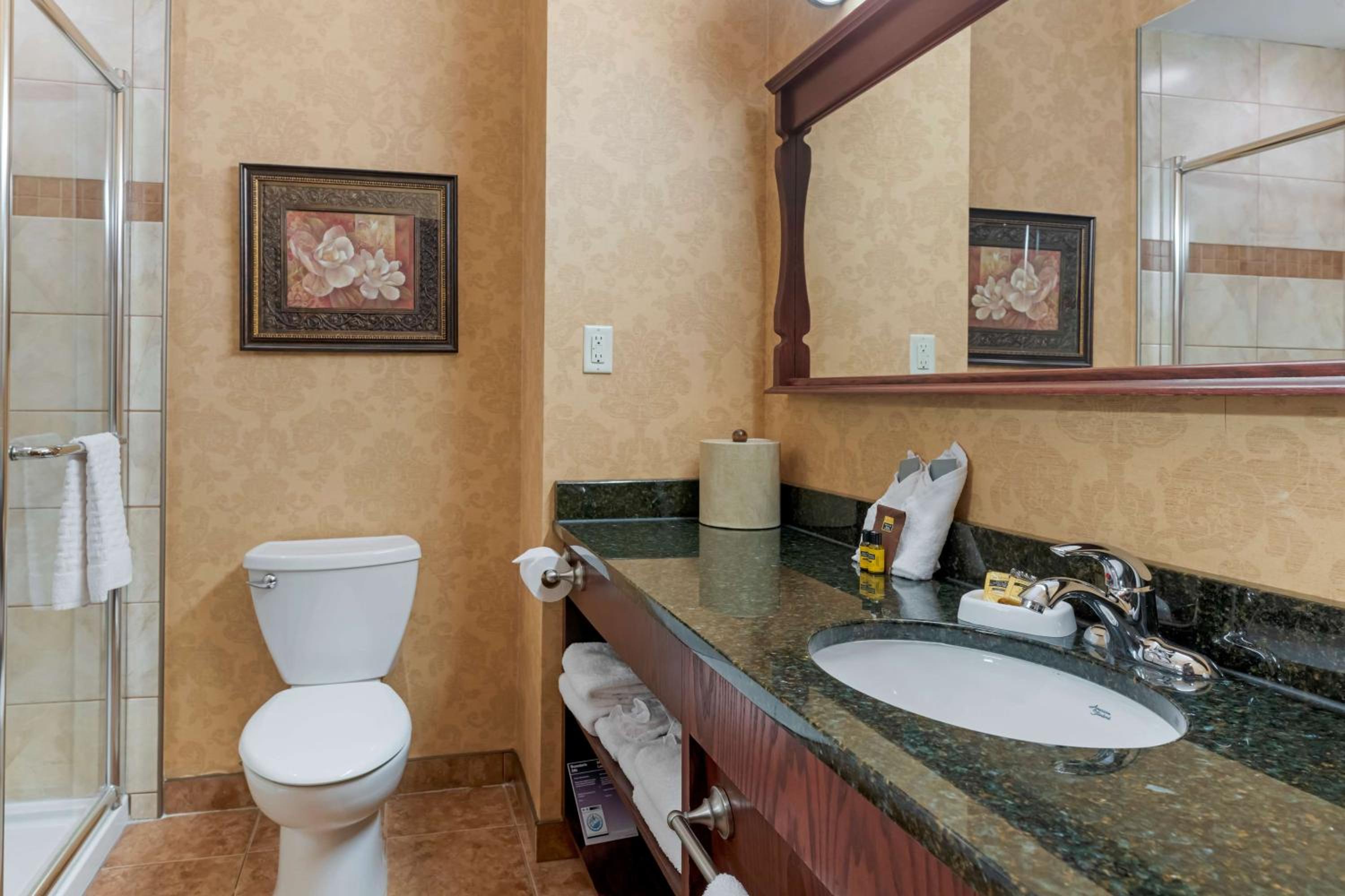 One-Bedroom King Suite with Sofa Bed and Rain Shower - Non-Smoking - Photo 6