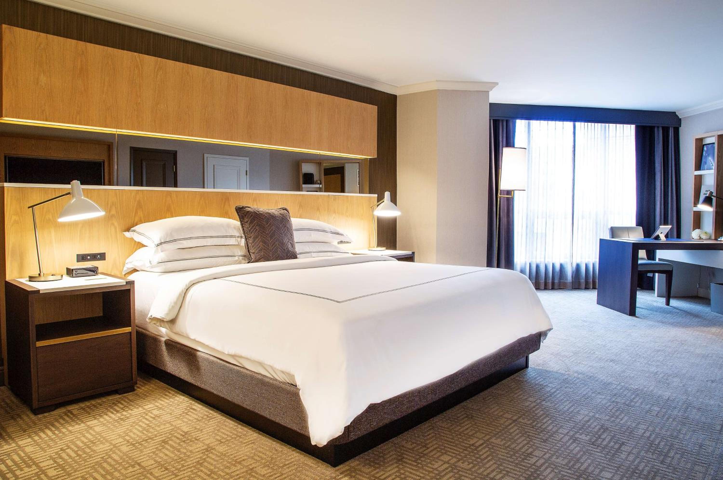 Suite - Photo 1