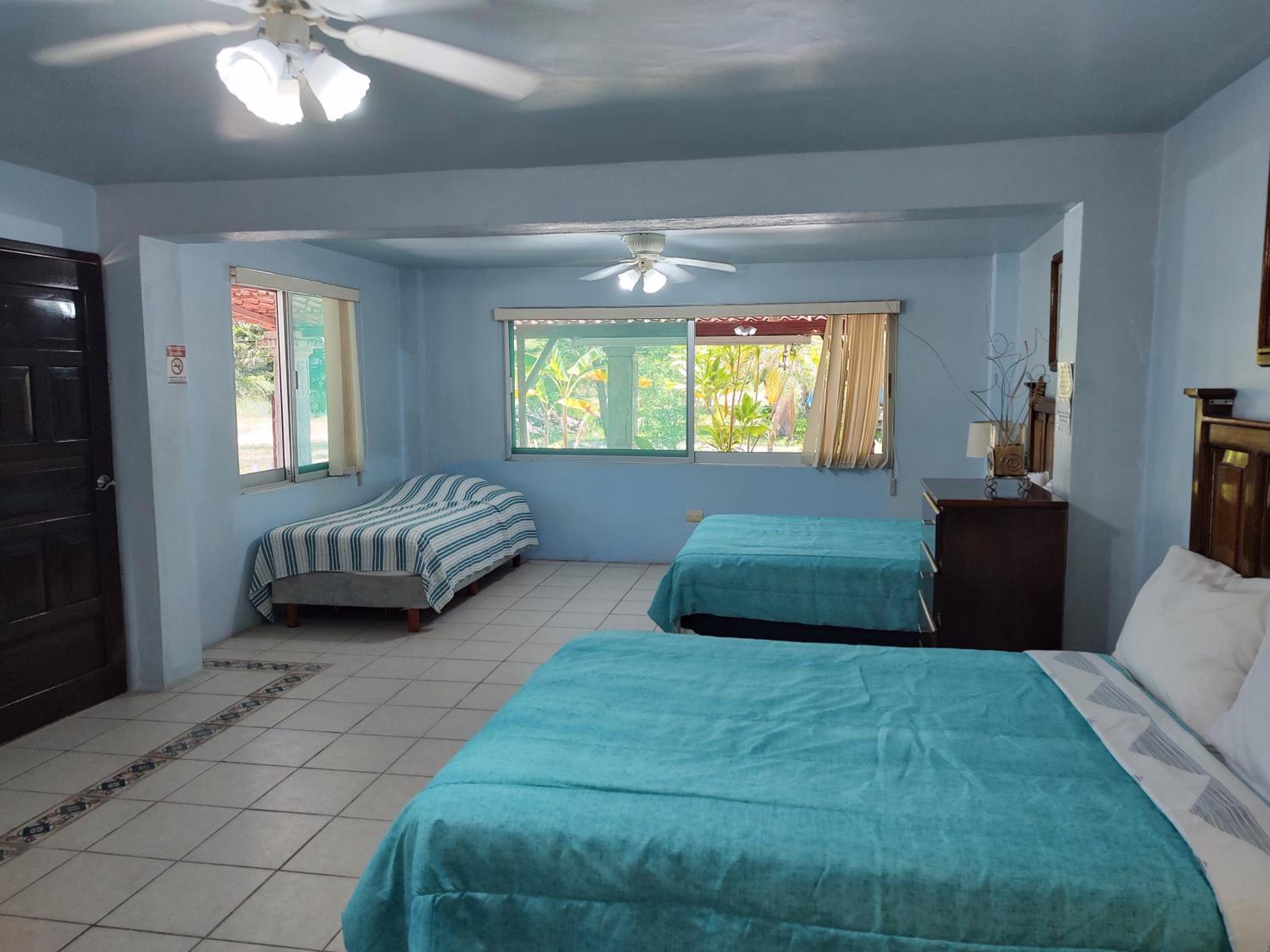 Double Room with Garden View photo 2